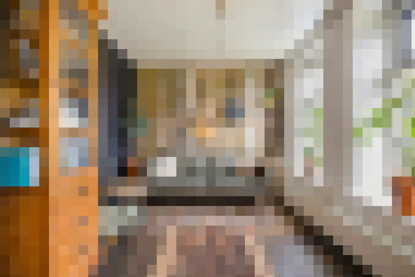 Schaapweg 7 Warffum thumbnail 19