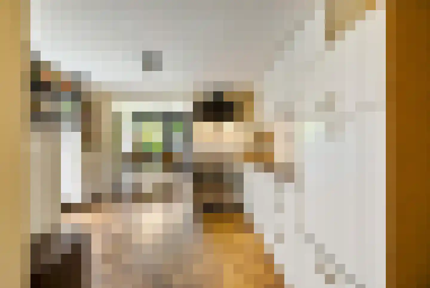Schaapweg 7 Warffum thumbnail 21