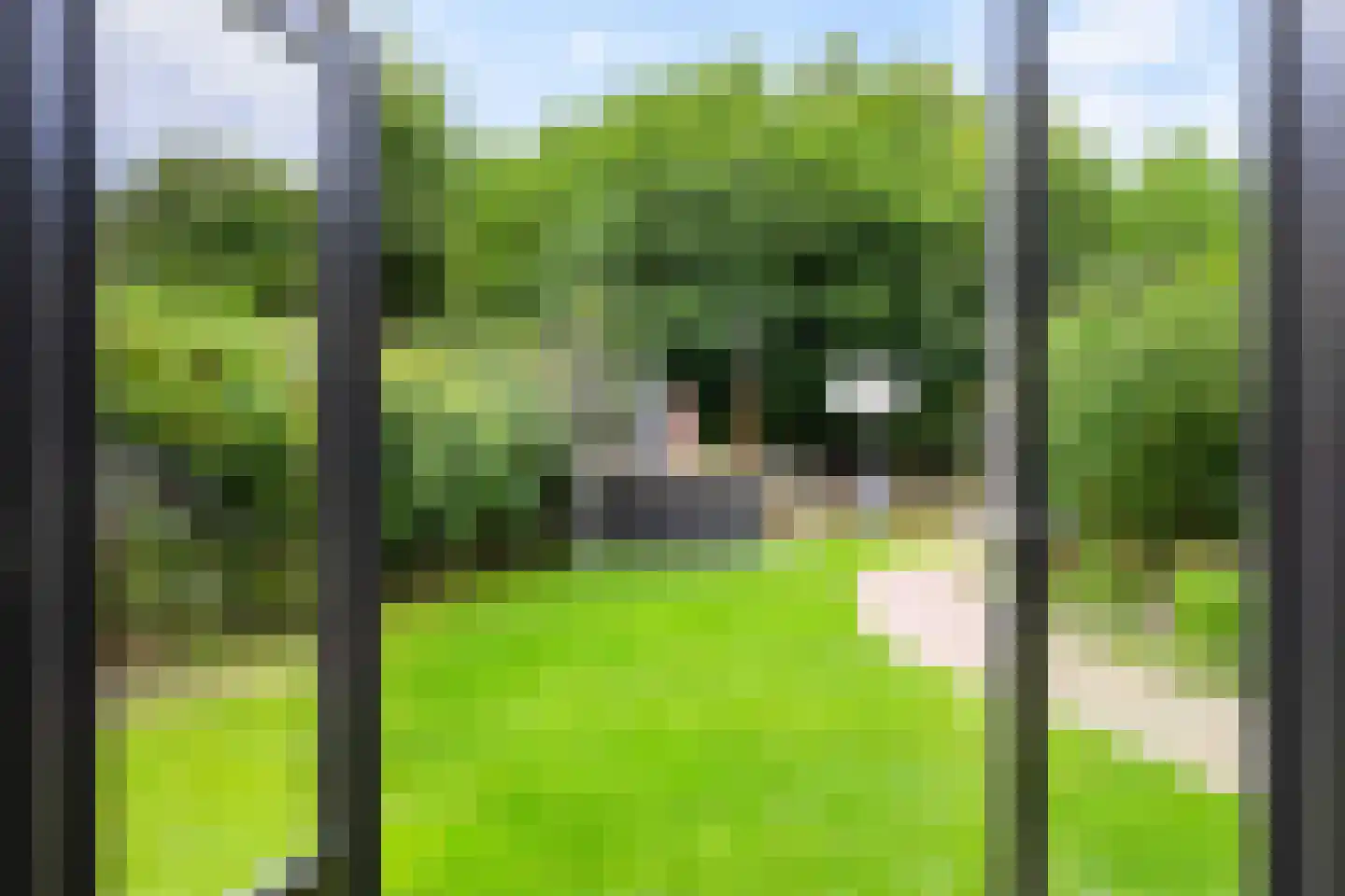 Schaapweg 7 Warffum thumbnail 26