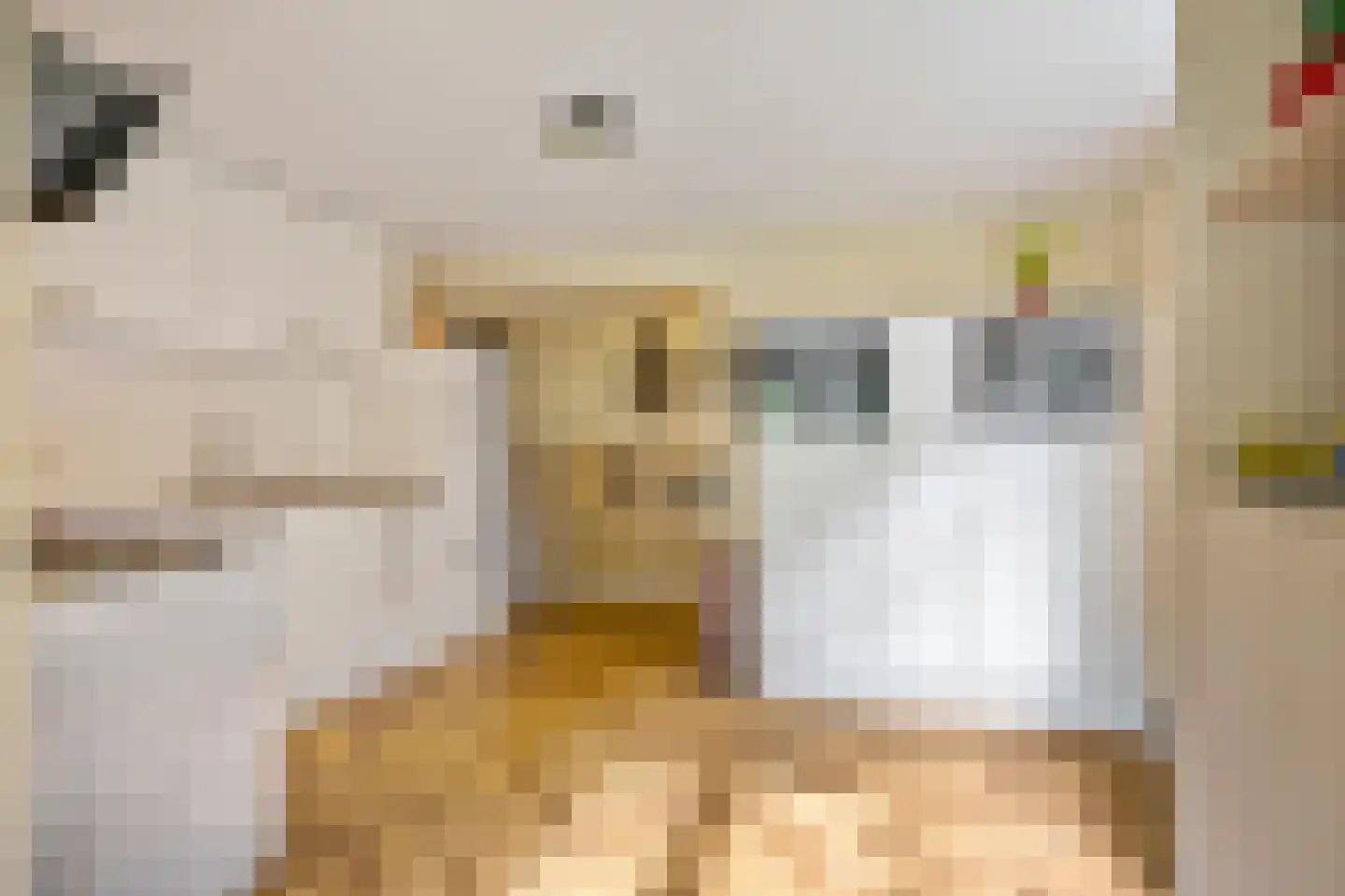 Schaapweg 7 Warffum thumbnail 28