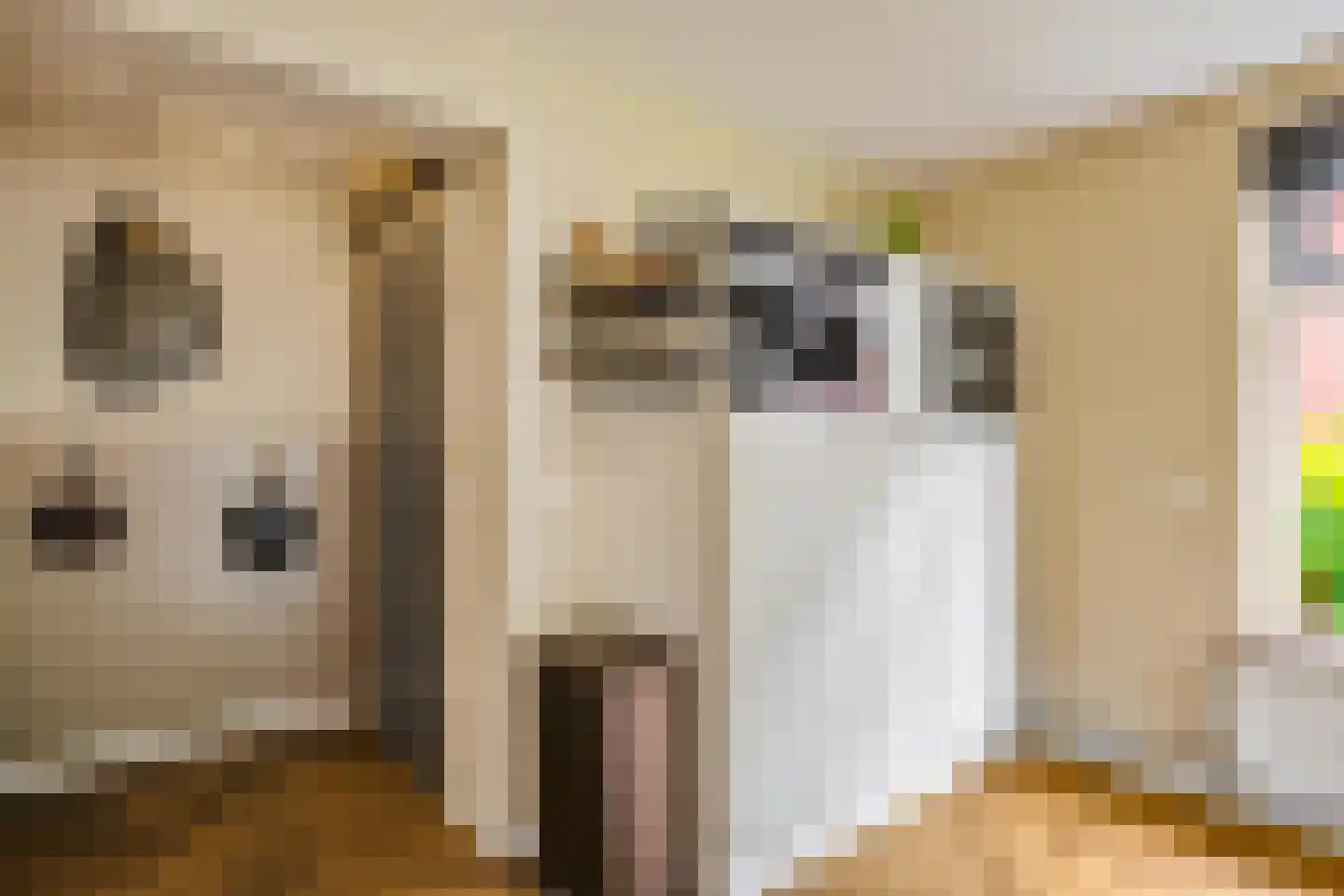 Schaapweg 7 Warffum thumbnail 30