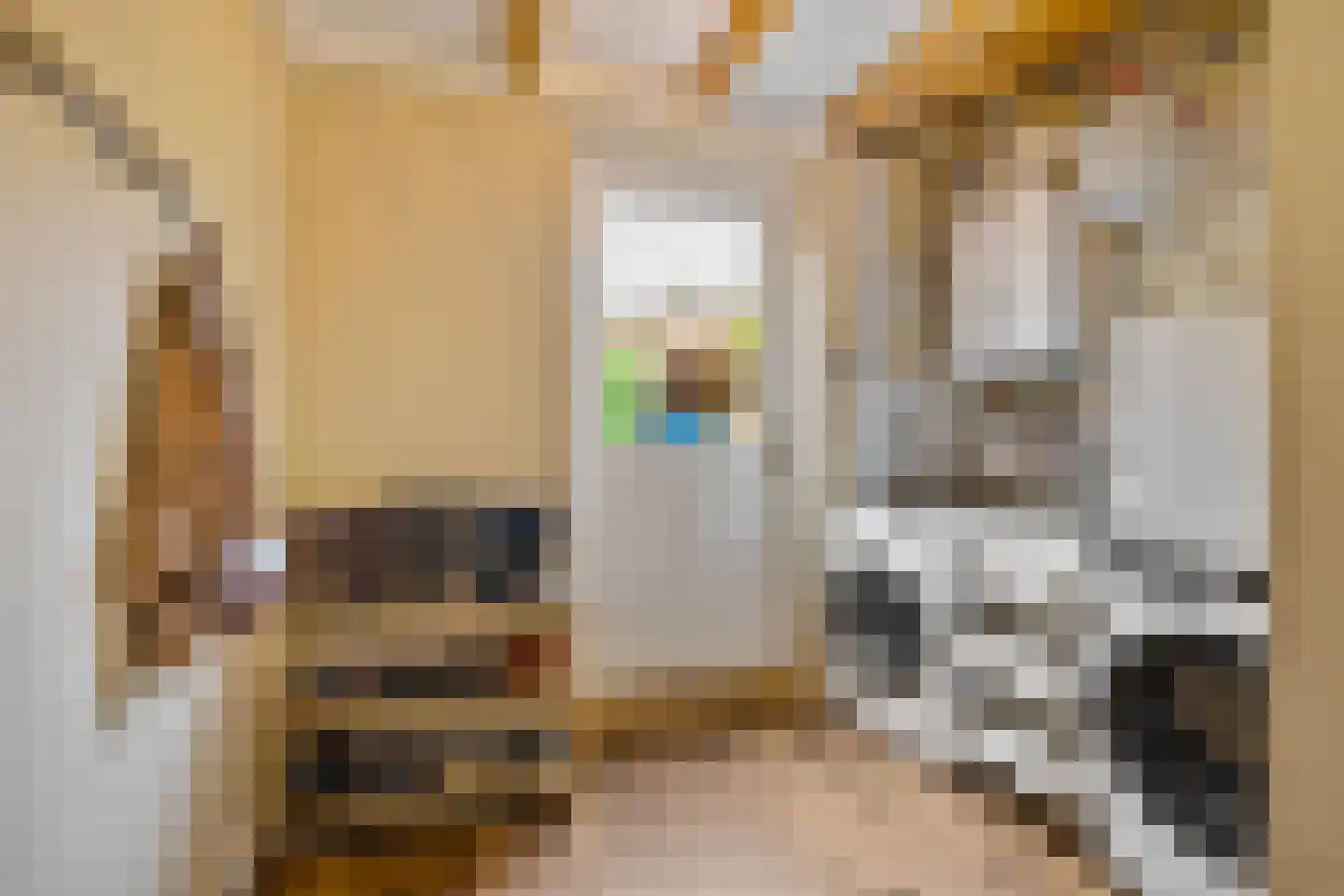 Schaapweg 7 Warffum thumbnail 32