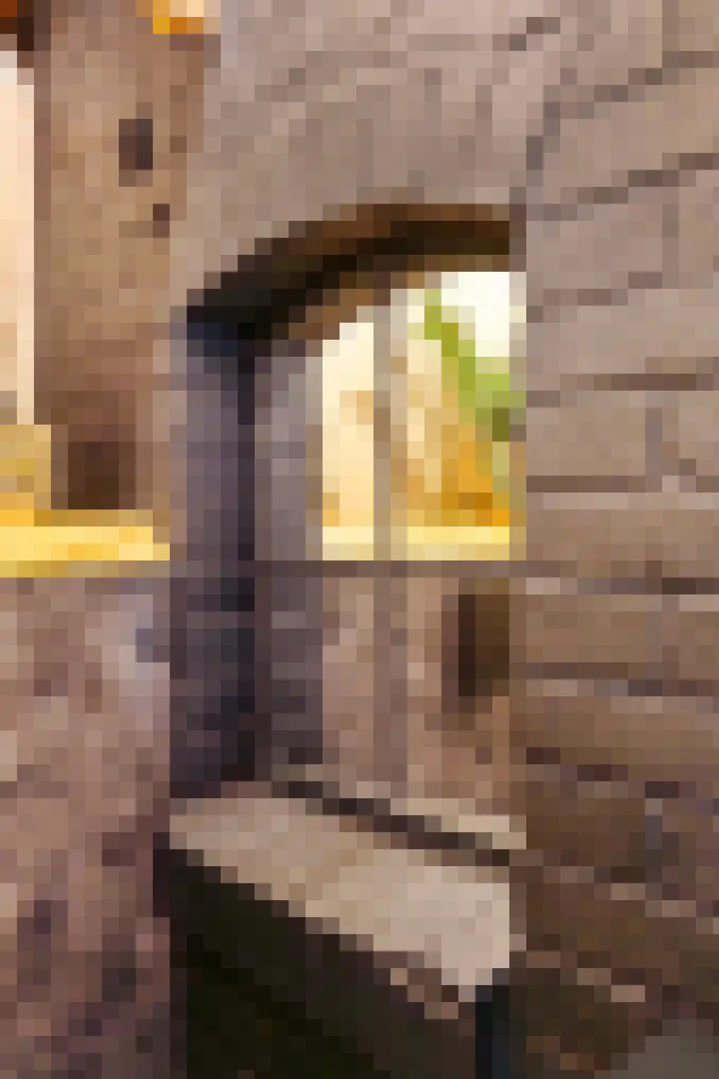 Schaapweg 7 Warffum thumbnail 34