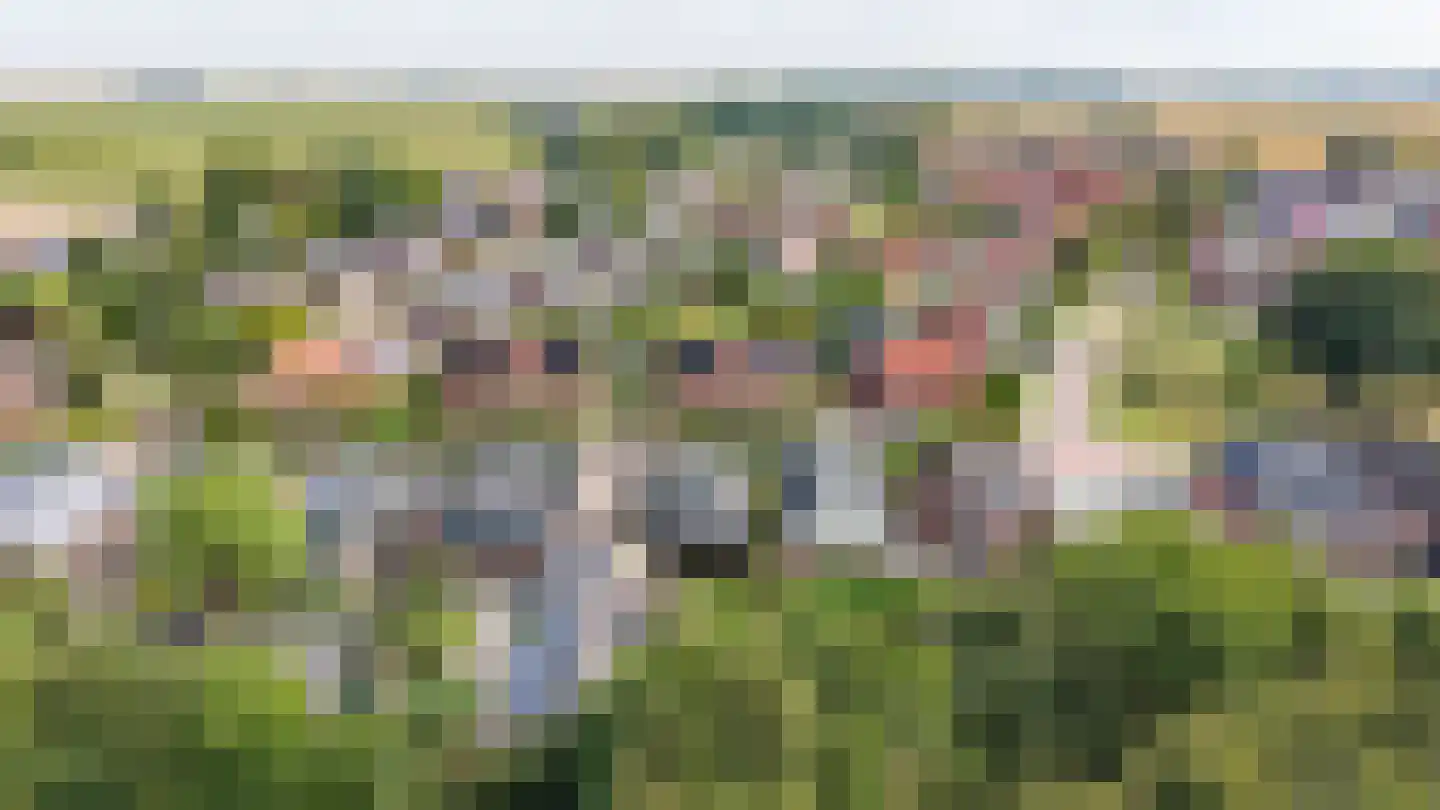 Schaapweg 7 Warffum thumbnail 4