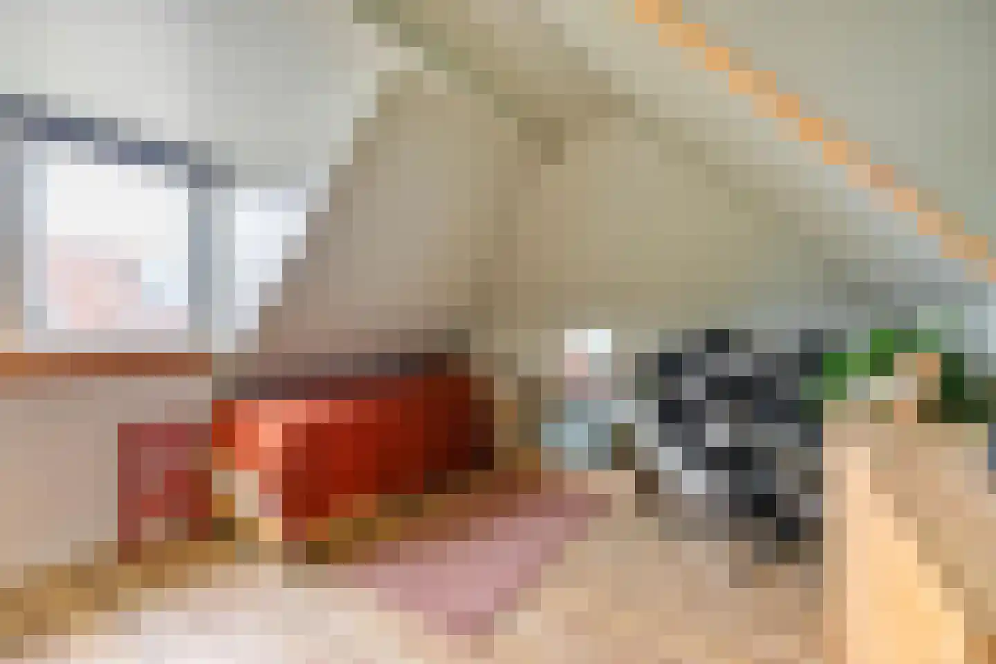 Schaapweg 7 Warffum thumbnail 44