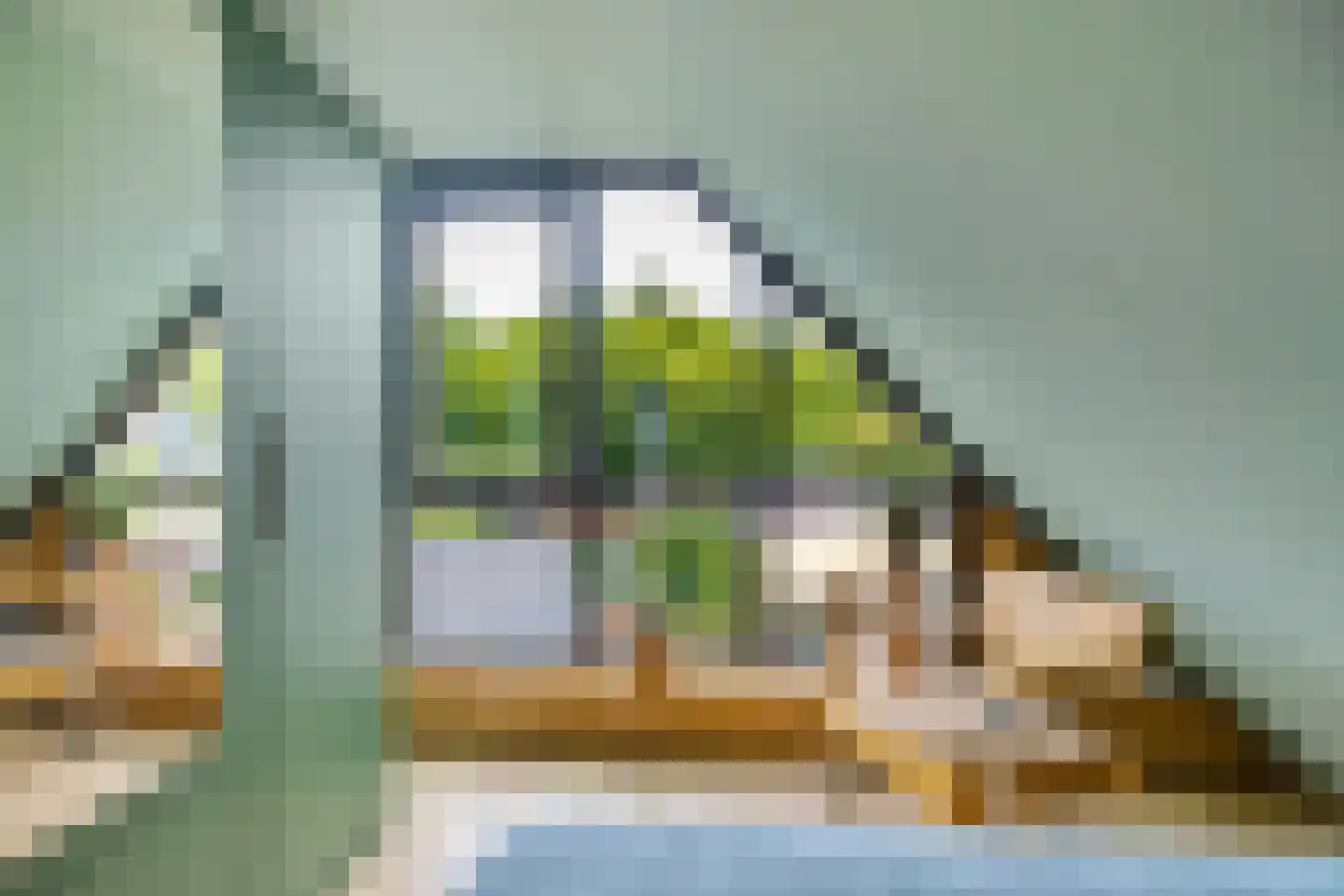 Schaapweg 7 Warffum thumbnail 46