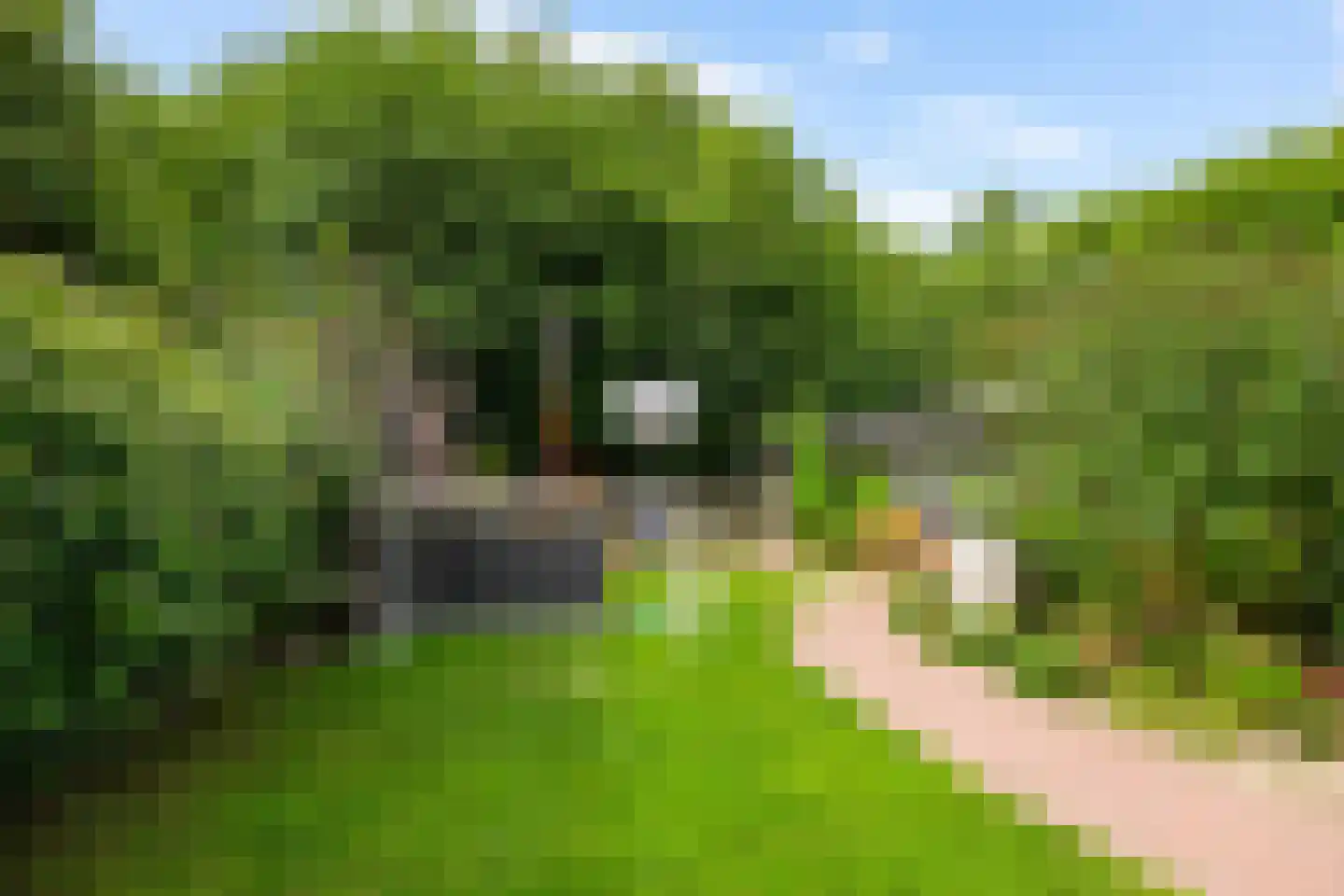 Schaapweg 7 Warffum thumbnail 53