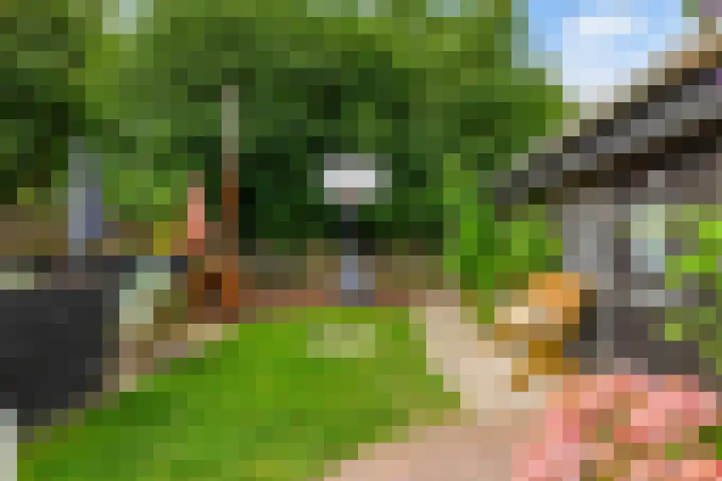 Schaapweg 7 Warffum thumbnail 54