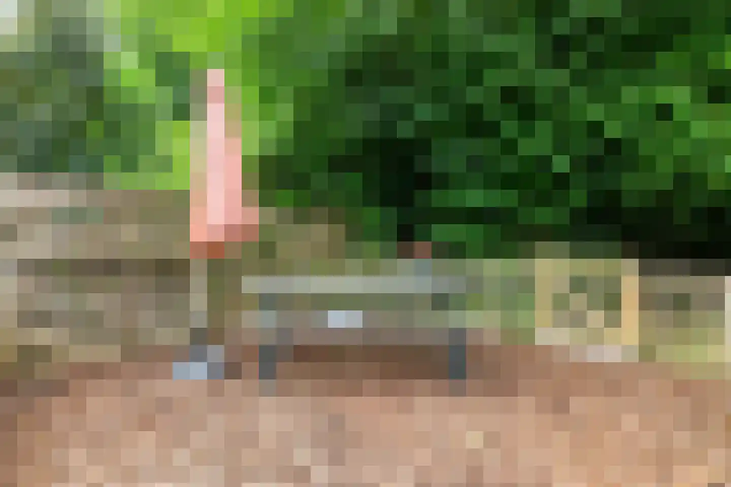 Schaapweg 7 Warffum thumbnail 57