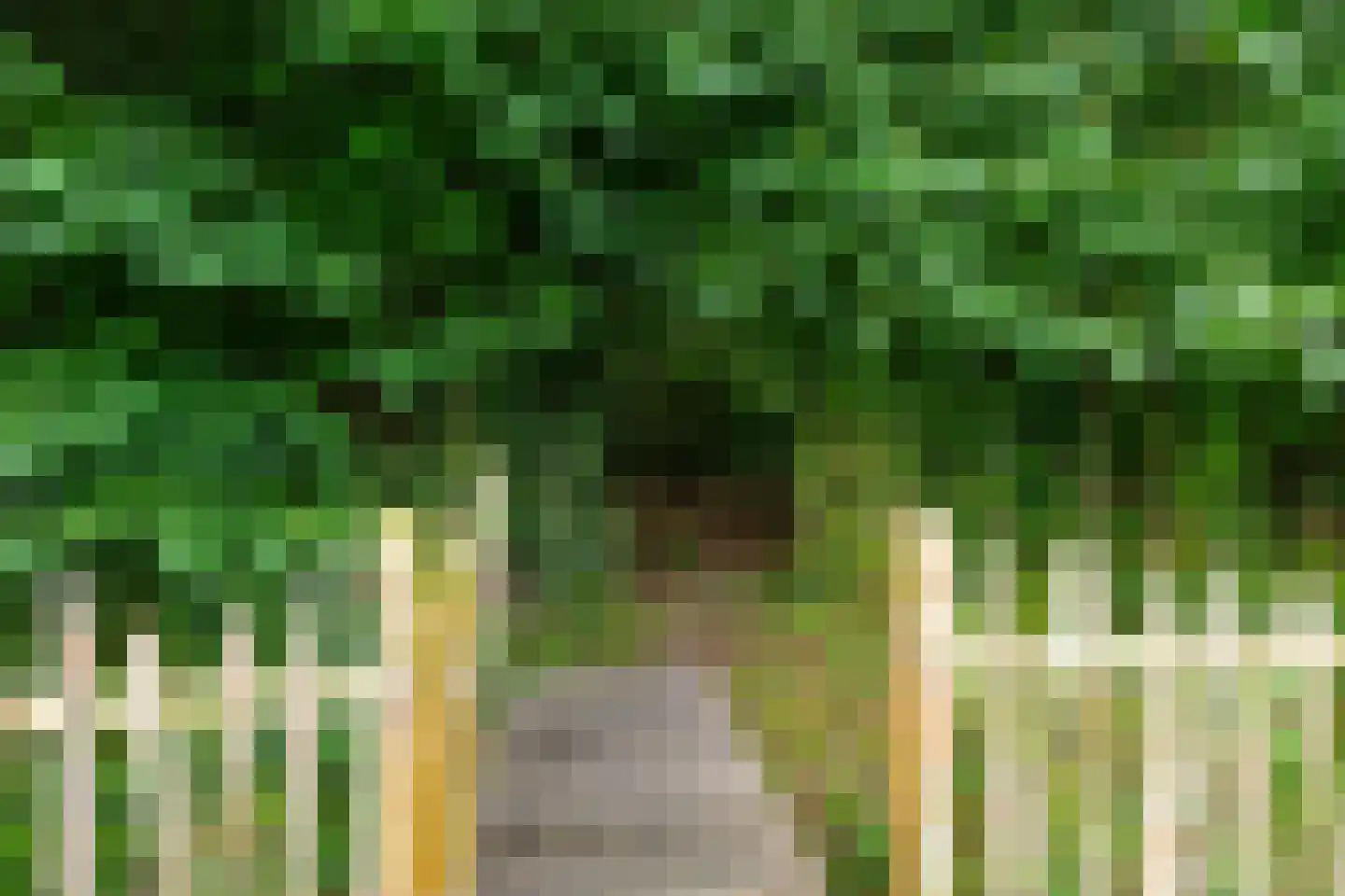 Schaapweg 7 Warffum thumbnail 58
