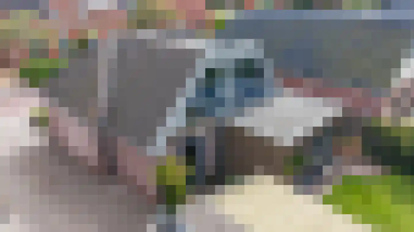 Schaapweg 7 Warffum thumbnail 6