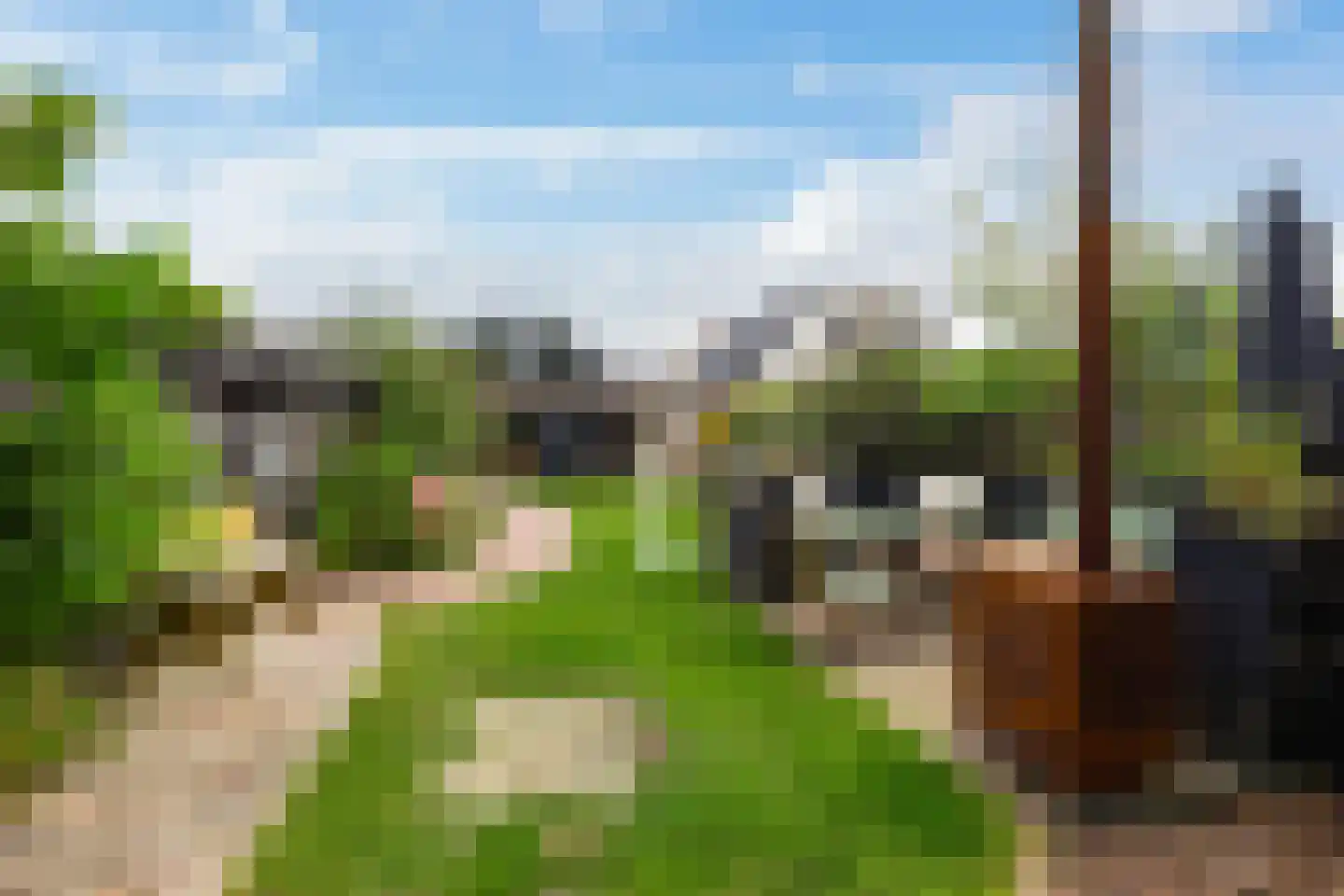 Schaapweg 7 Warffum thumbnail 60