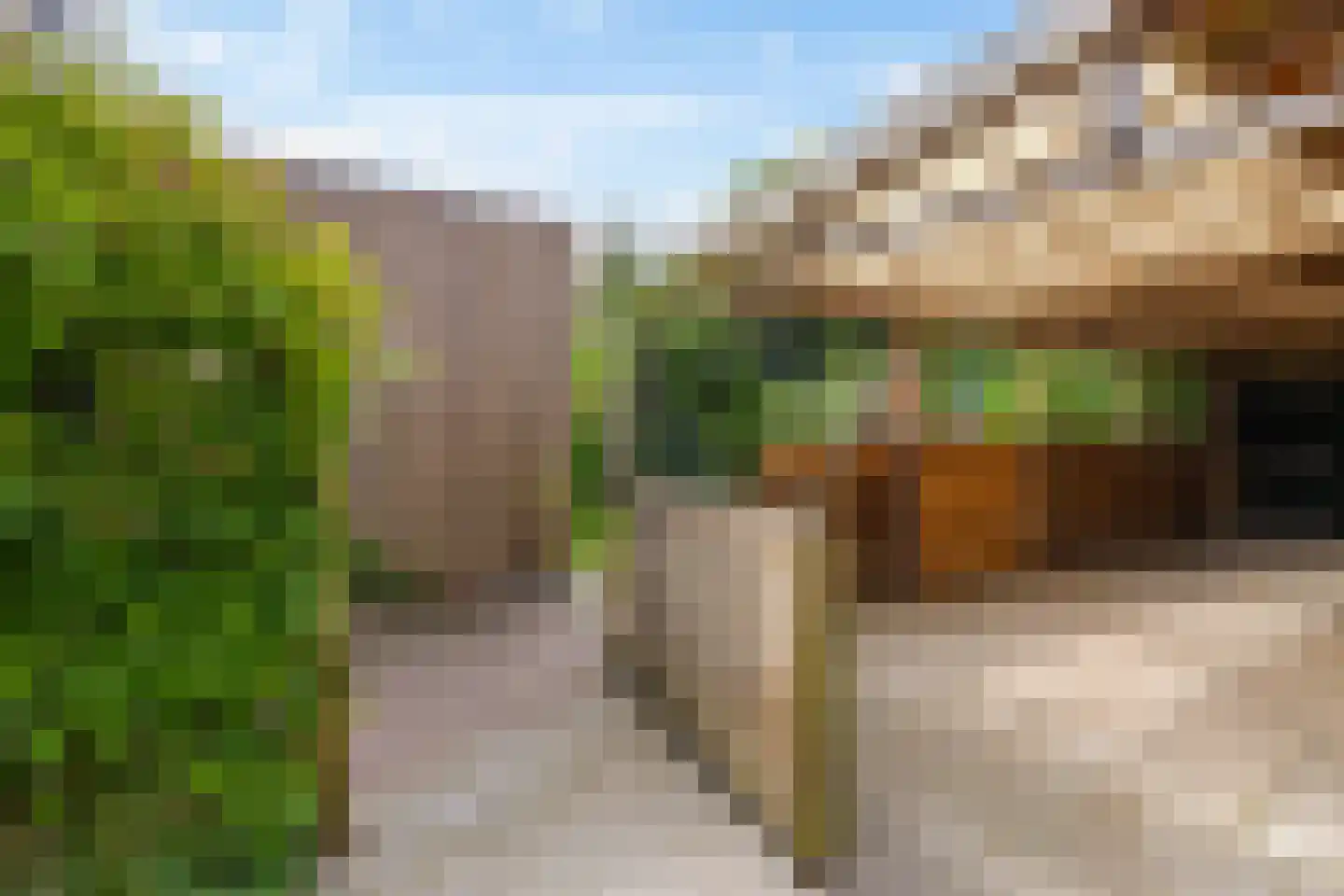 Schaapweg 7 Warffum thumbnail 62