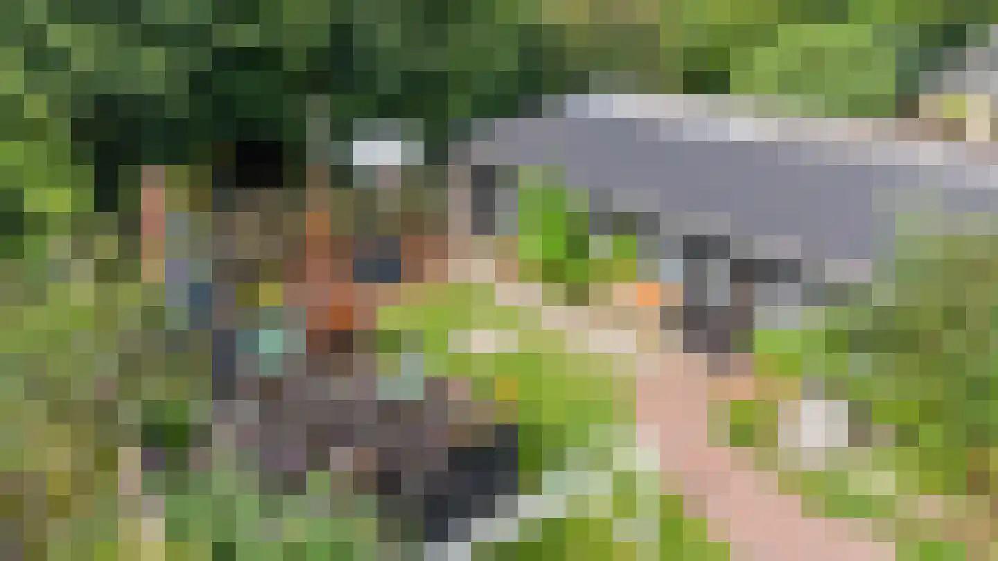 Schaapweg 7 Warffum thumbnail 65