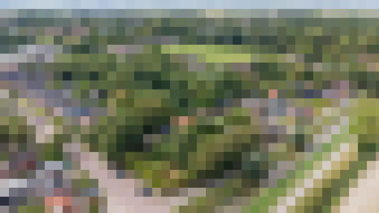 Schaapweg 7 Warffum thumbnail 66