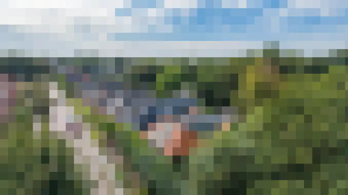 Schaapweg 7 Warffum thumbnail 67