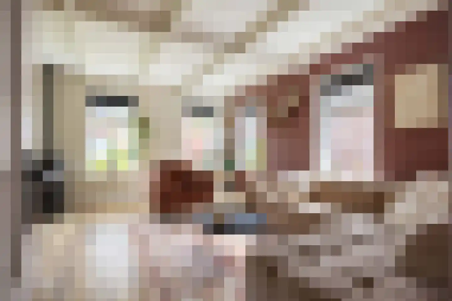 Schaapweg 8 Warffum thumbnail 13