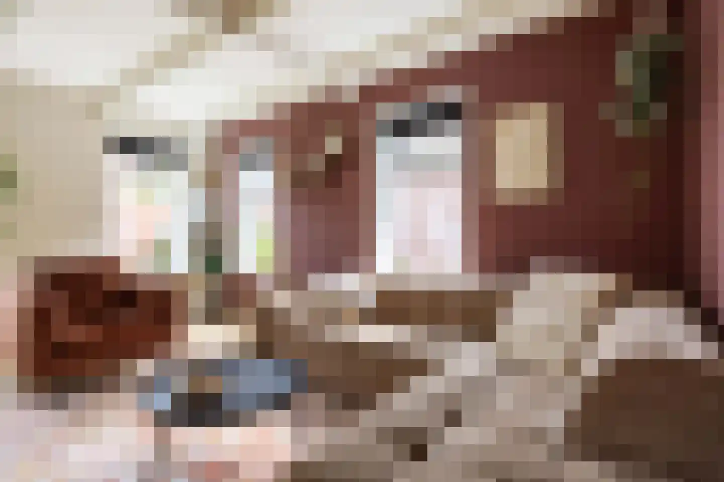 Schaapweg 8 Warffum thumbnail 14