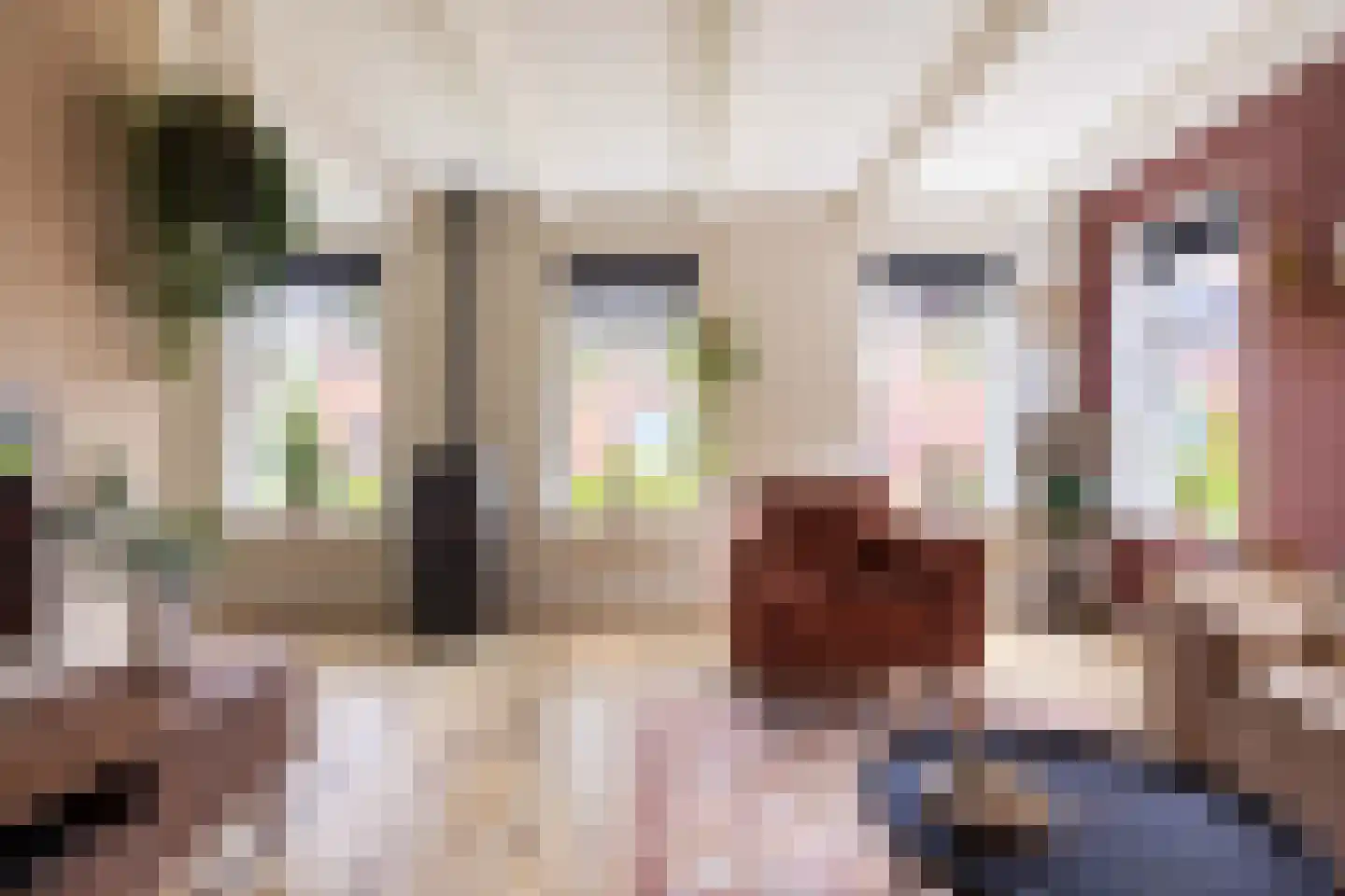 Schaapweg 8 Warffum thumbnail 15