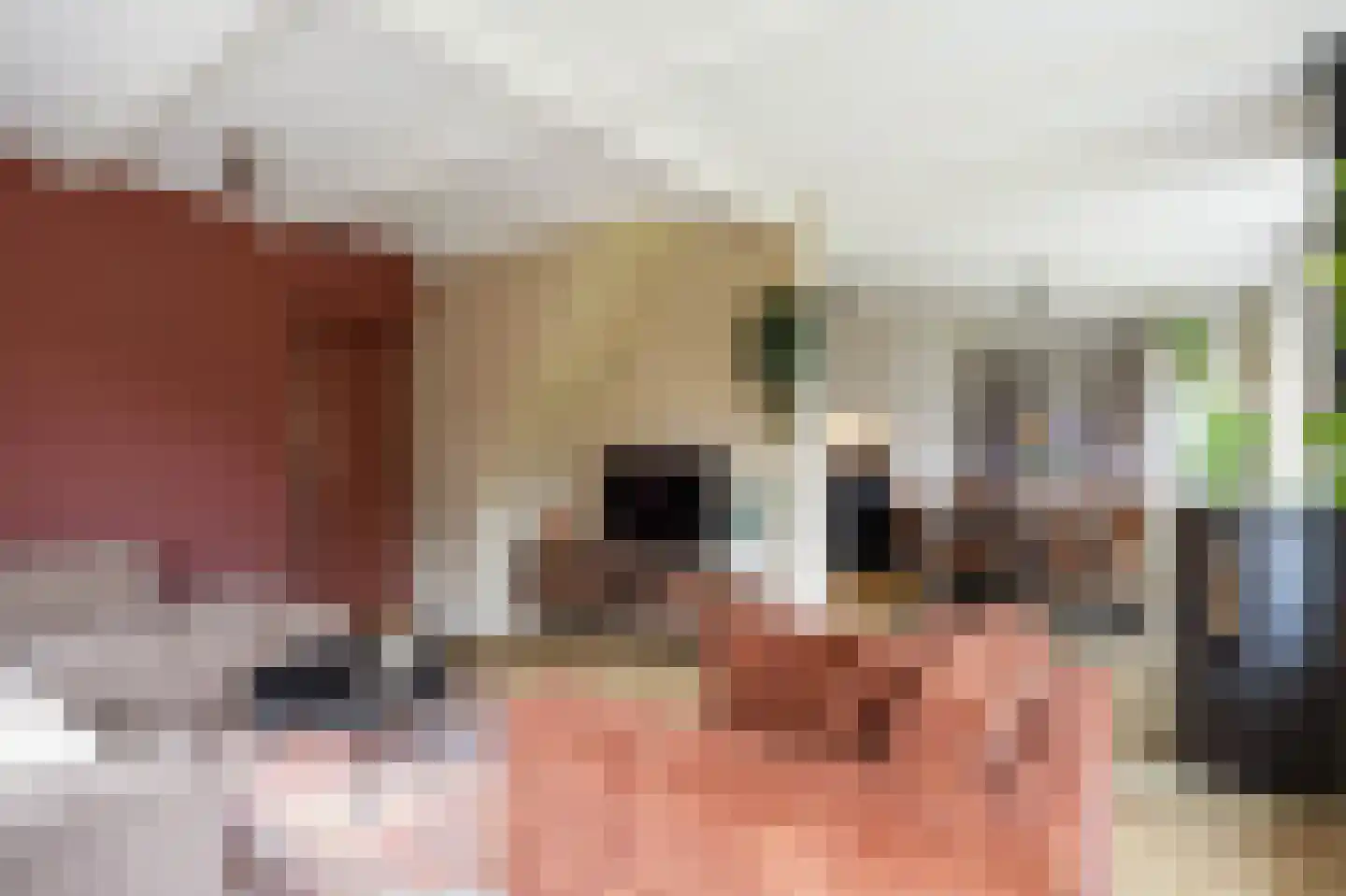 Schaapweg 8 Warffum thumbnail 16