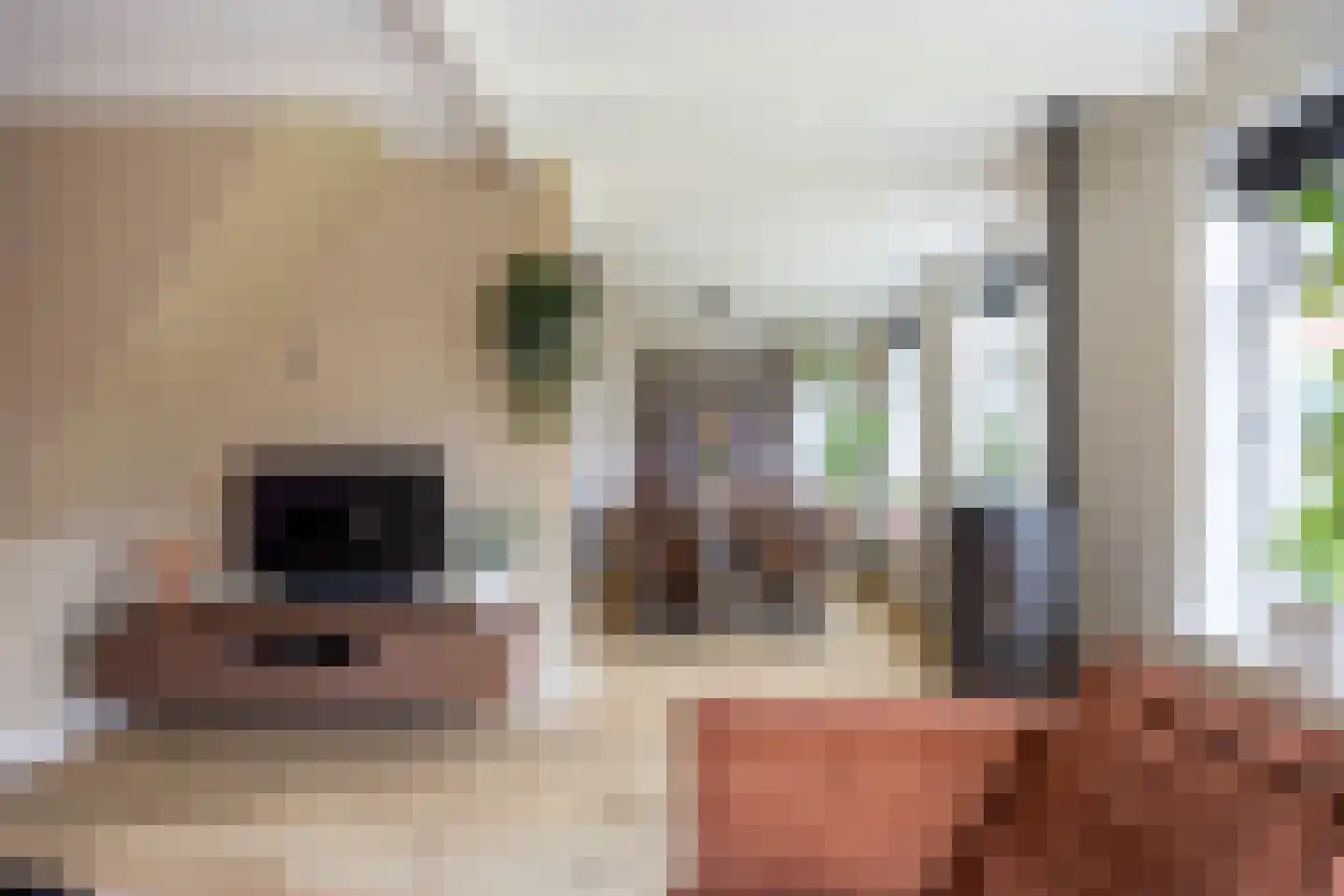Schaapweg 8 Warffum thumbnail 17