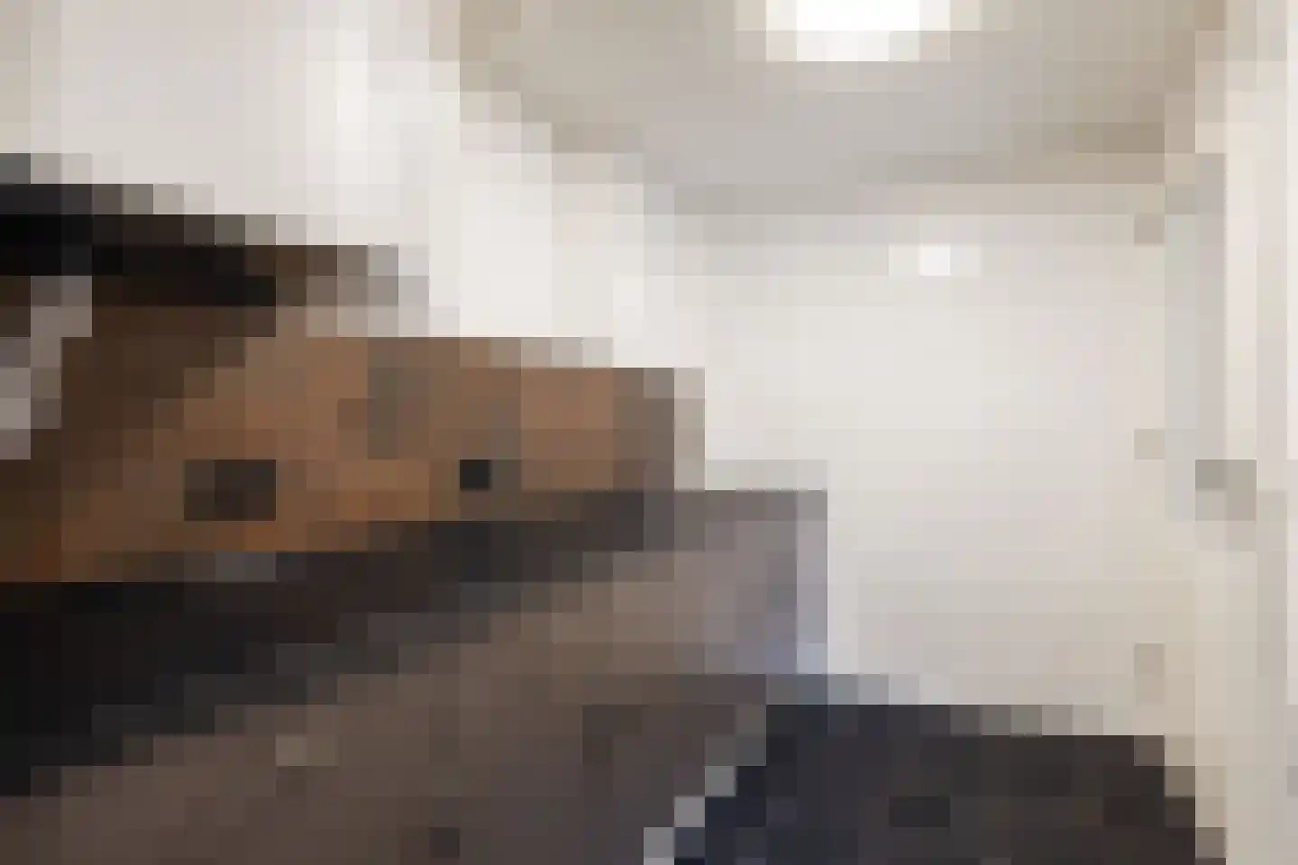 Schaapweg 8 Warffum thumbnail 30