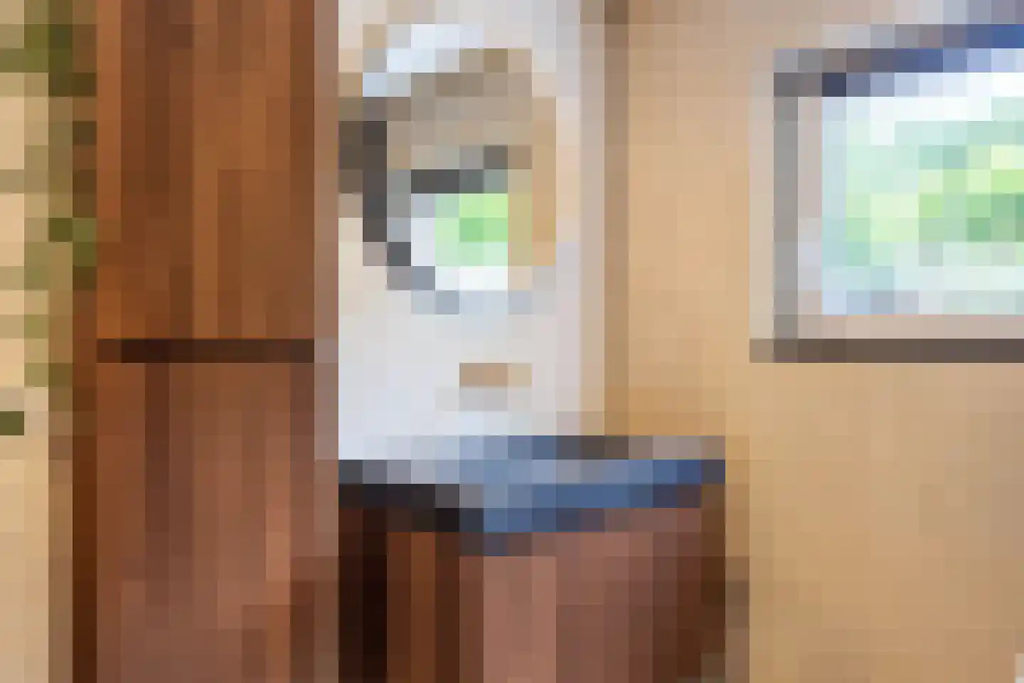 Schaapweg 8 Warffum thumbnail 33