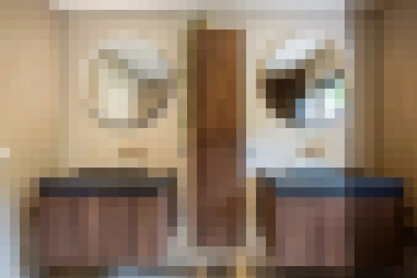Schaapweg 8 Warffum thumbnail 35