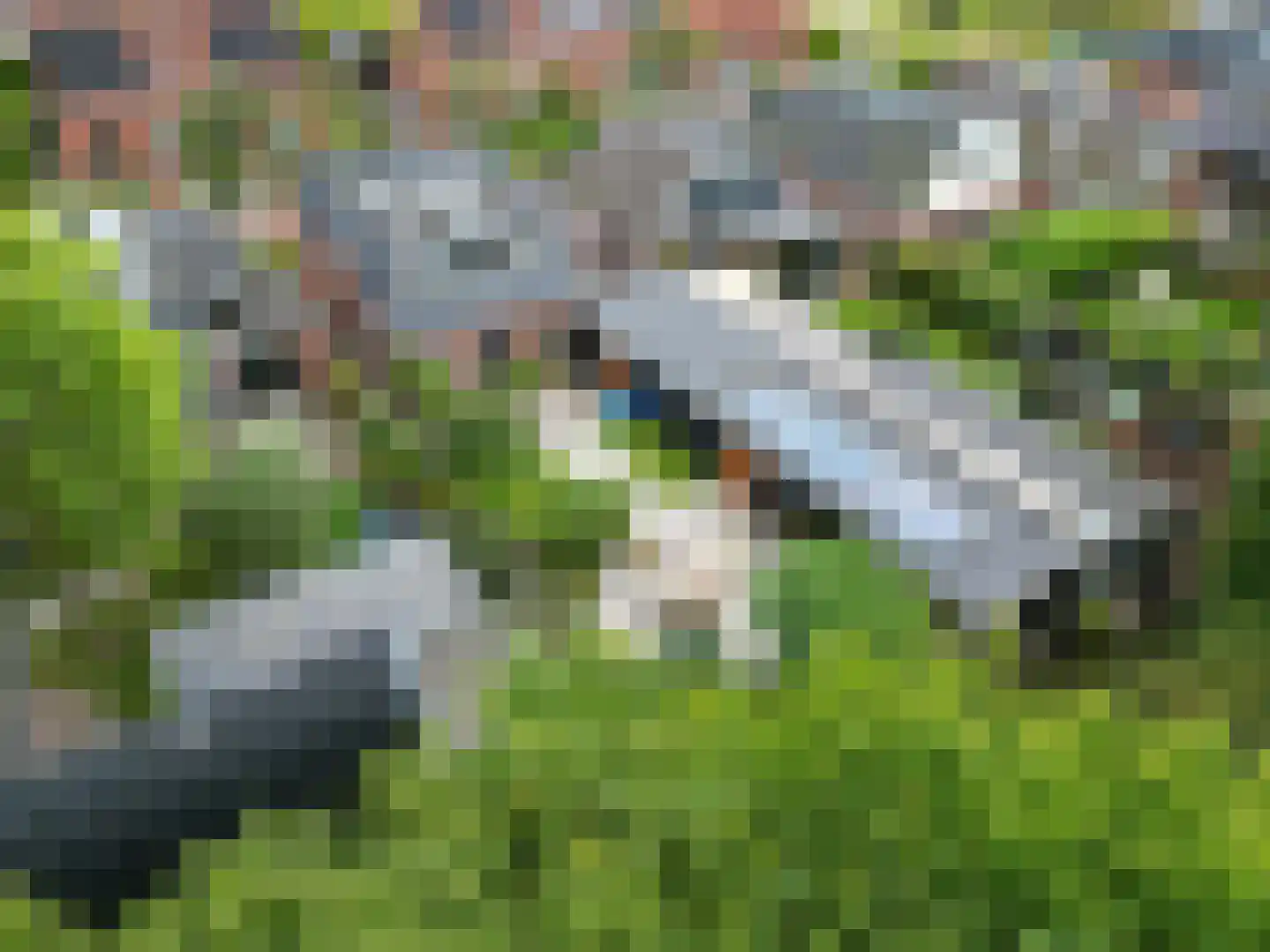 Schaapweg 8 Warffum thumbnail 4