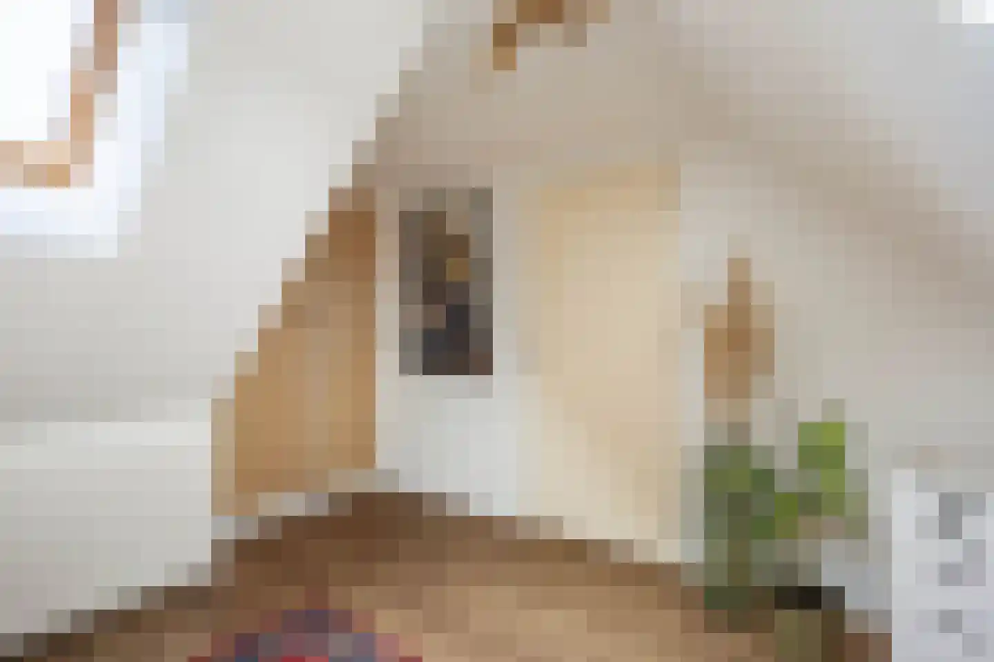 Schaapweg 8 Warffum thumbnail 41