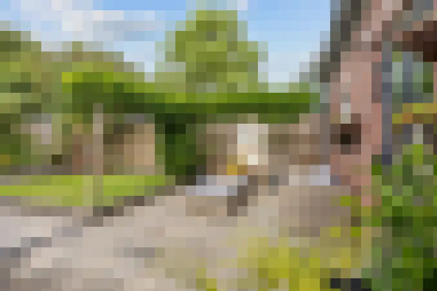 Schaapweg 8 Warffum thumbnail 52
