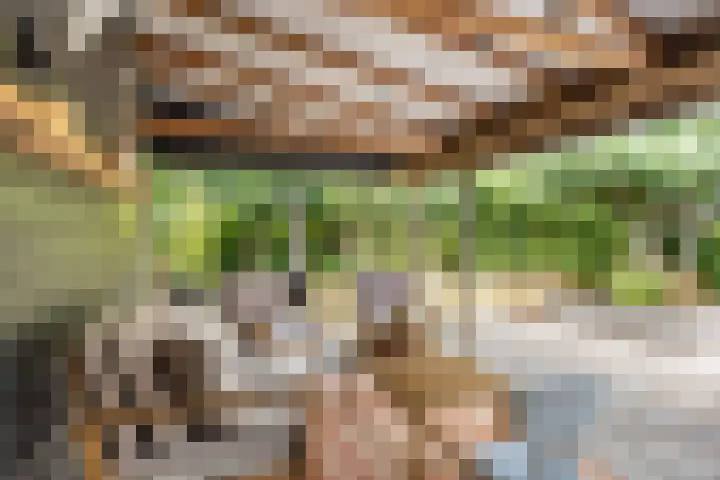 Schaapweg 8 Warffum thumbnail 59