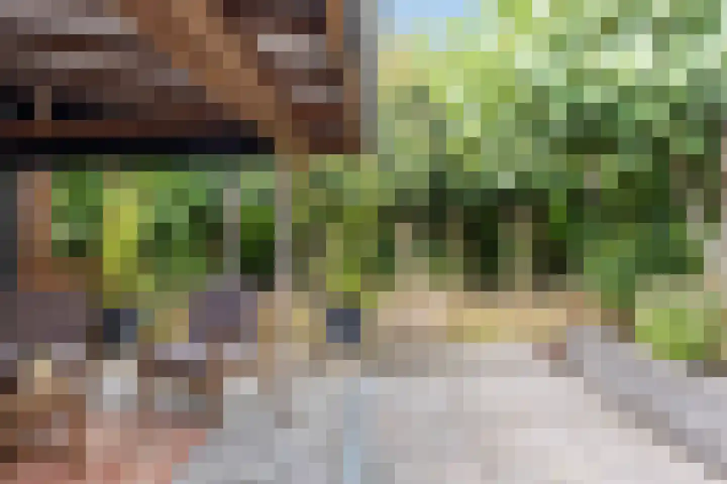 Schaapweg 8 Warffum thumbnail 60