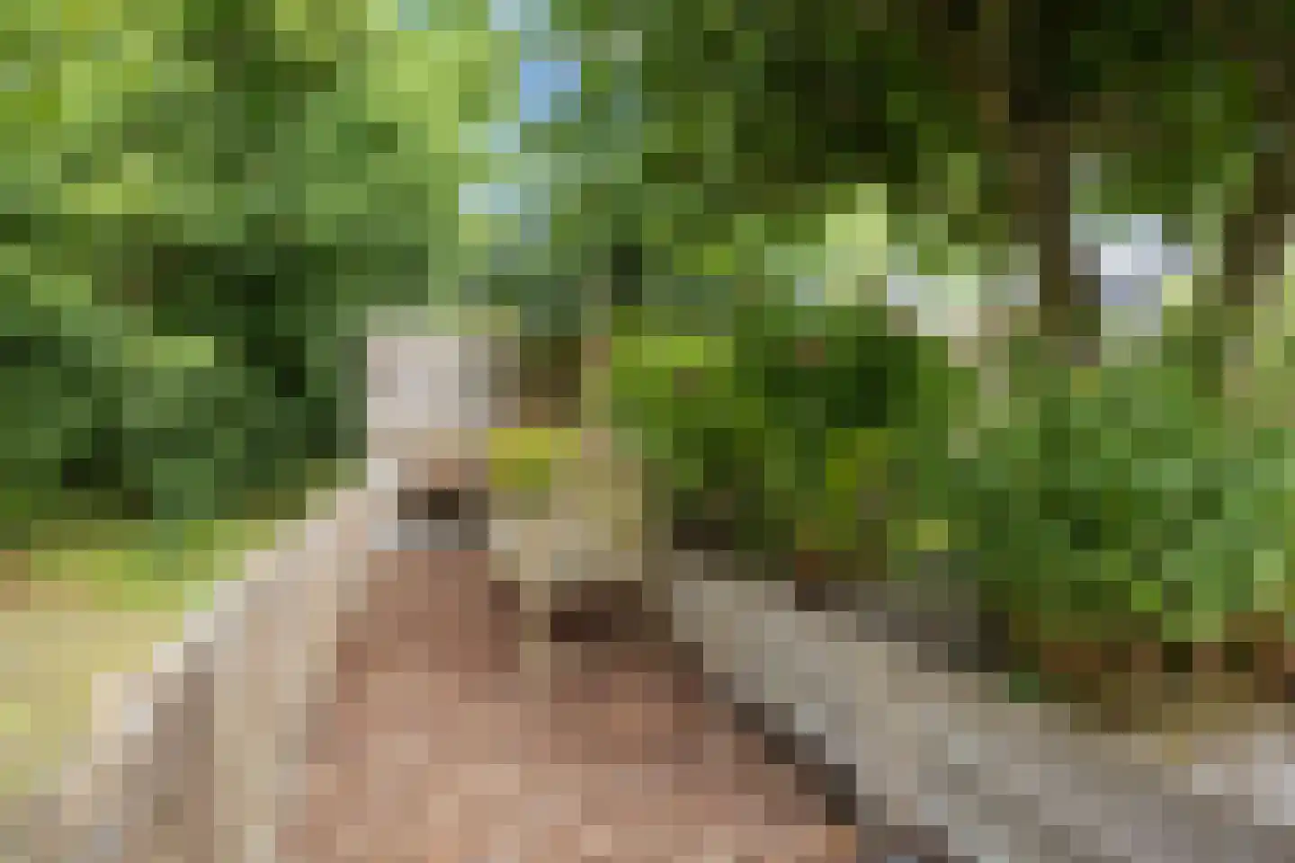 Schaapweg 8 Warffum thumbnail 62