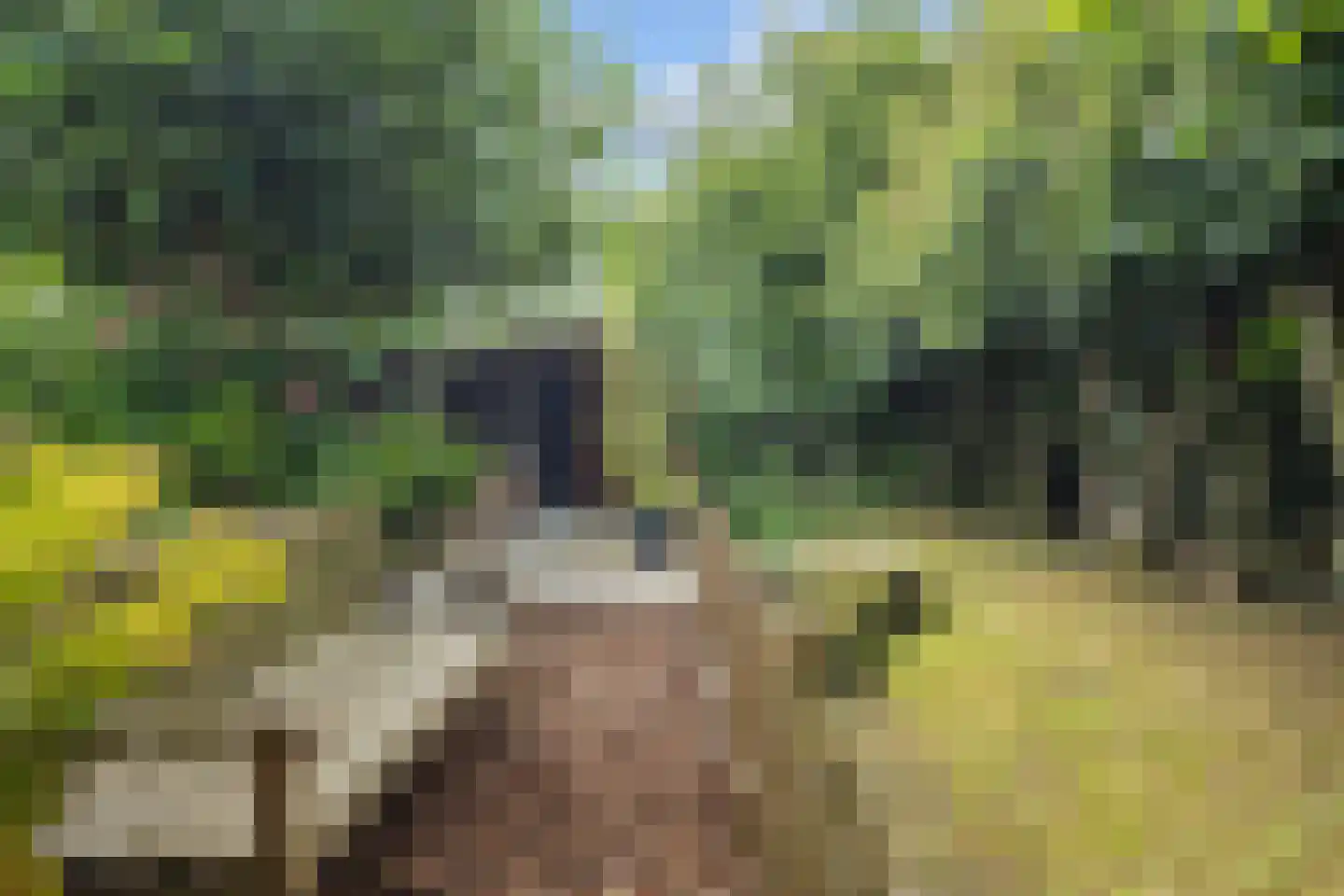 Schaapweg 8 Warffum thumbnail 63