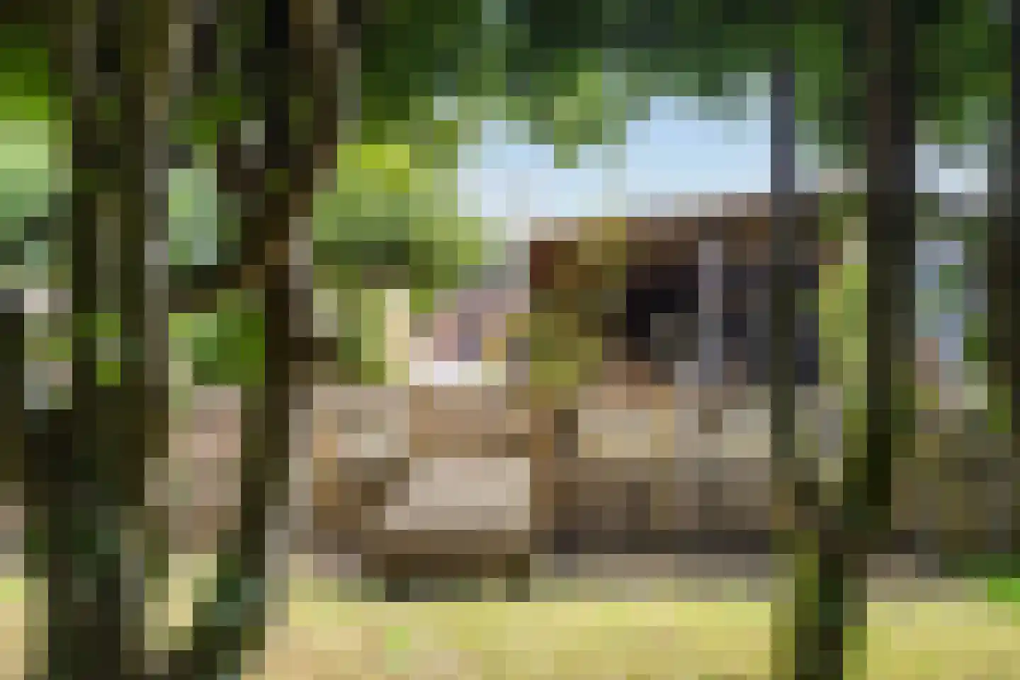 Schaapweg 8 Warffum thumbnail 64