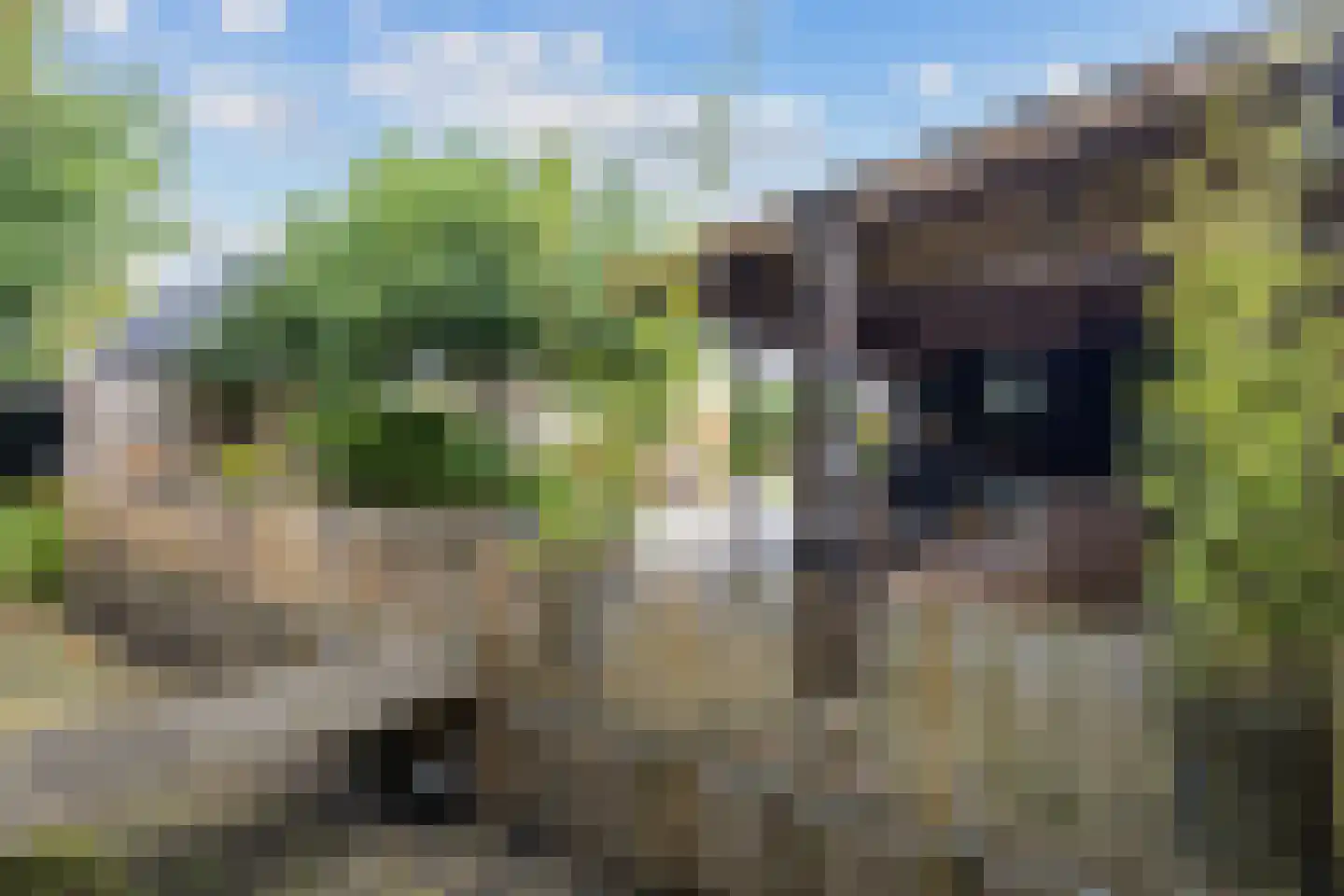 Schaapweg 8 Warffum thumbnail 65