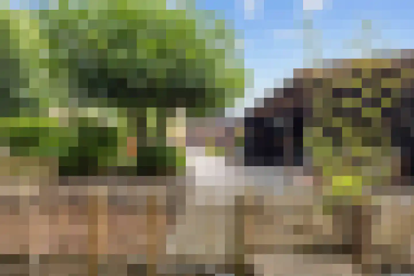 Schaapweg 8 Warffum thumbnail 66