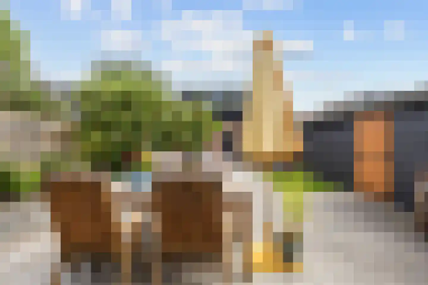 Schaapweg 8 Warffum thumbnail 68