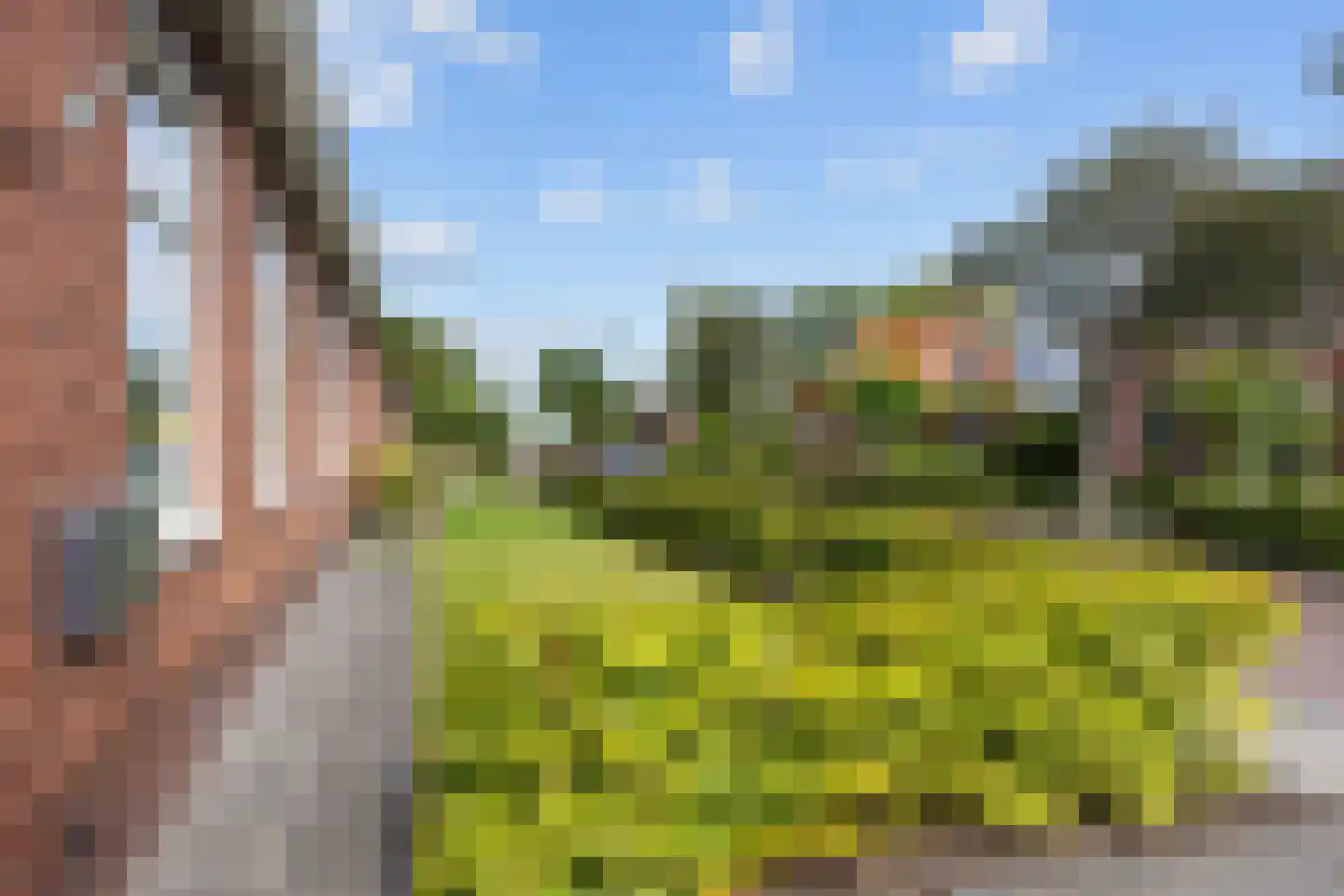 Schaapweg 8 Warffum thumbnail 7