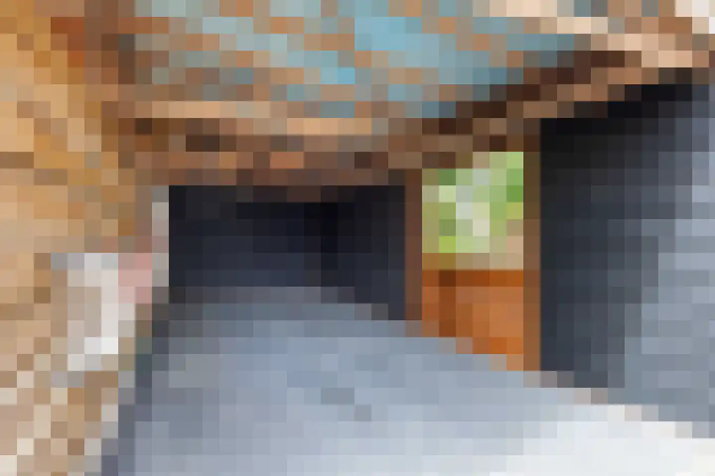Schaapweg 8 Warffum thumbnail 73