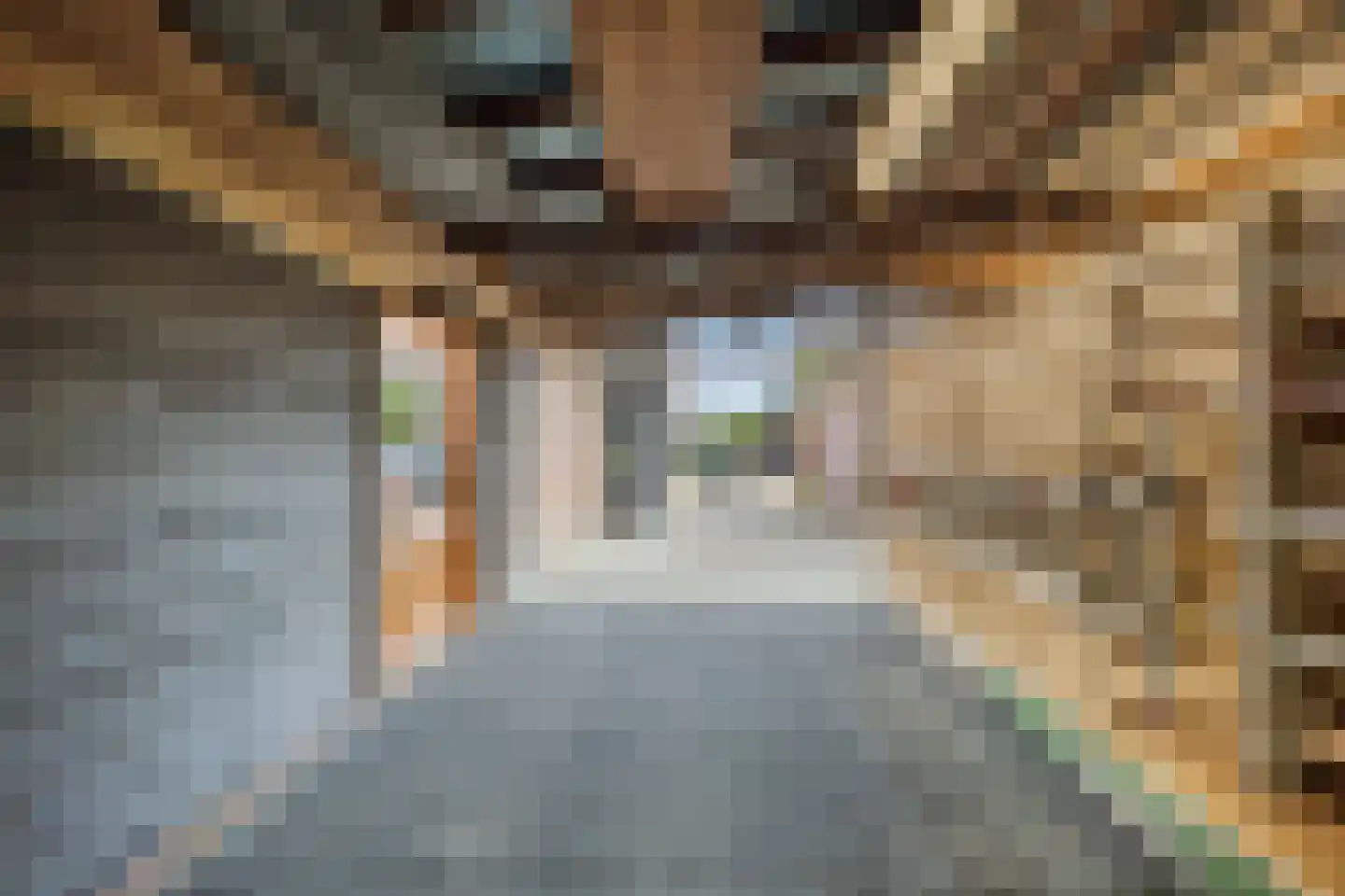 Schaapweg 8 Warffum thumbnail 74