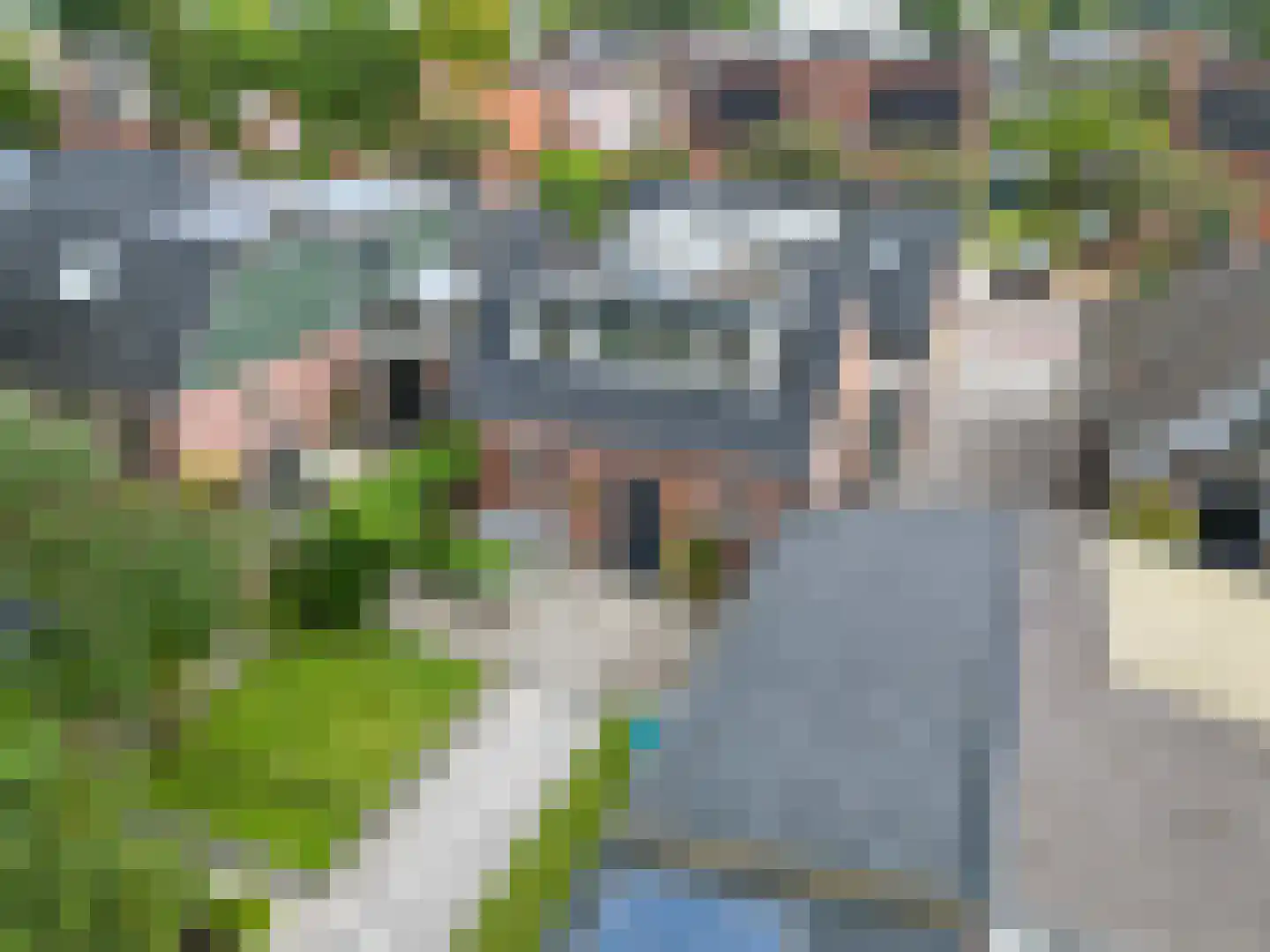 Schaapweg 8 Warffum thumbnail 75