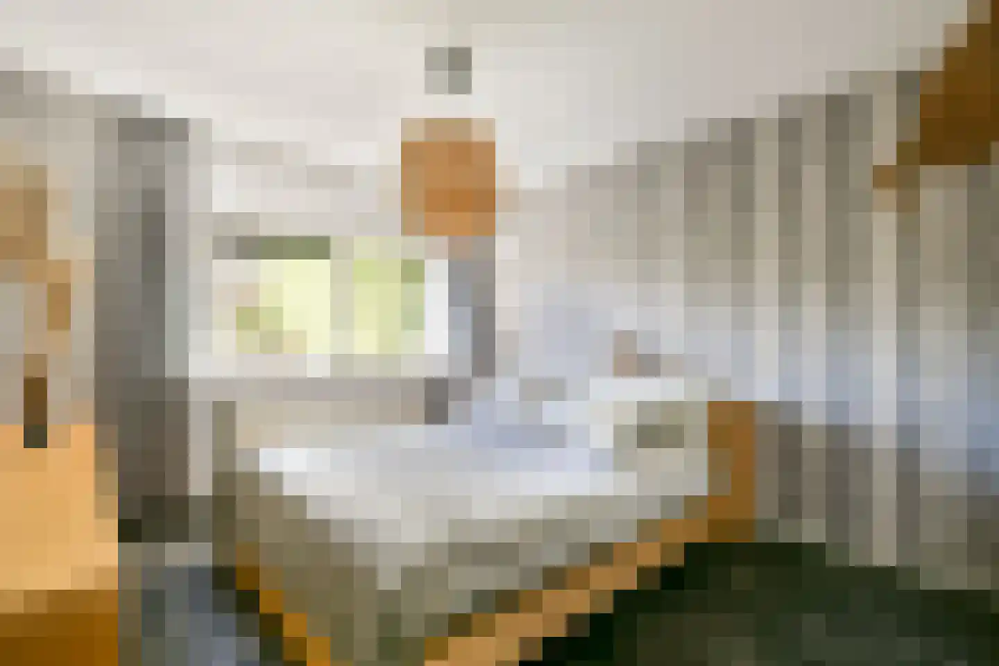 Schaarbeekstraat 13 Amsterdam thumbnail 12