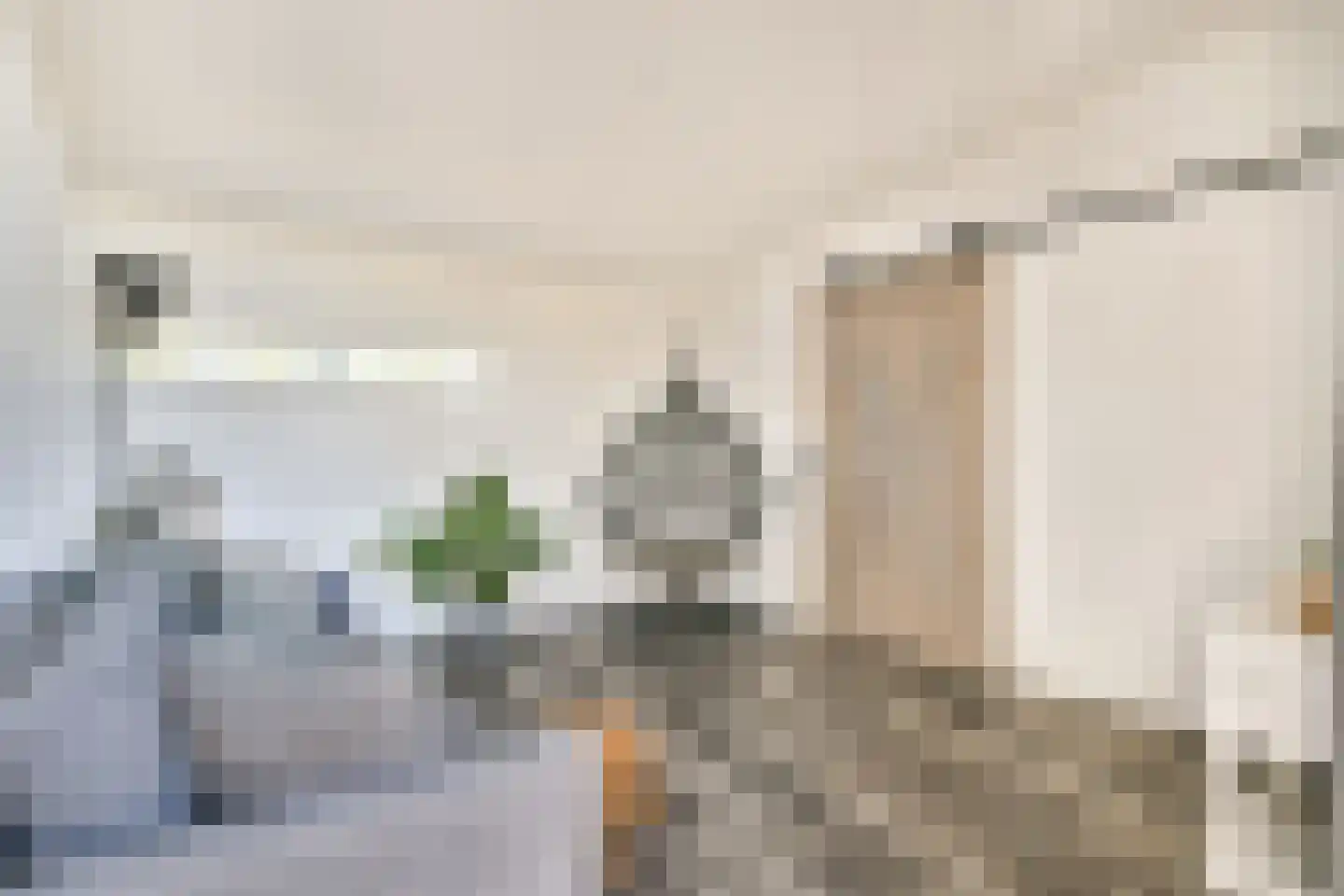 Schaarbeekstraat 13 Amsterdam thumbnail 17