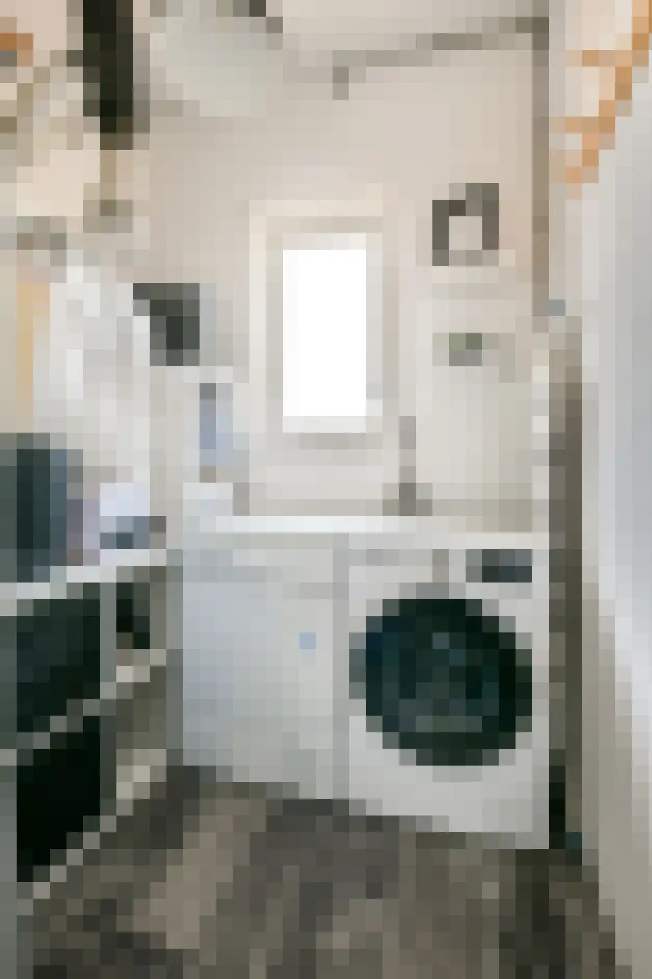 Schaarbeekstraat 13 Amsterdam thumbnail 19