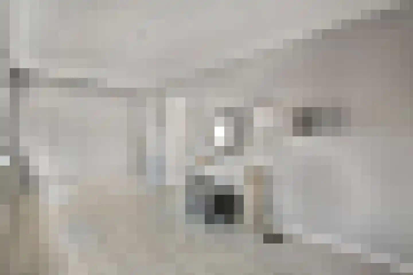 Schaarbeekstraat 13 Amsterdam thumbnail 21