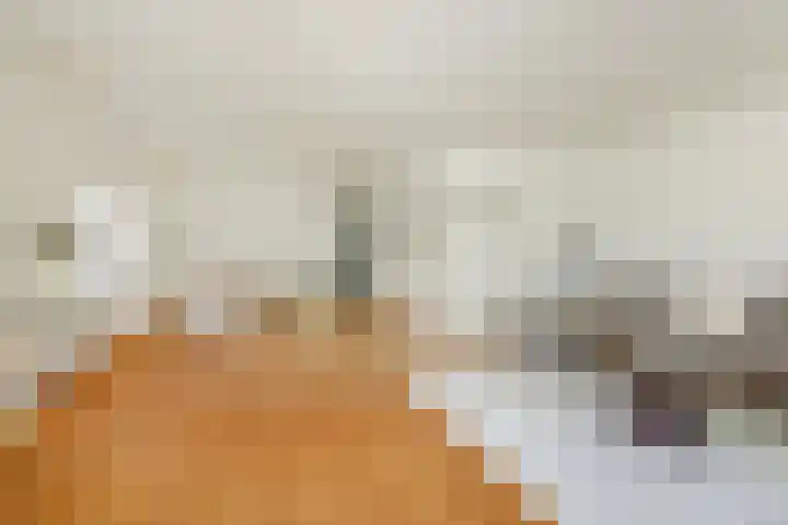 Schaarbeekstraat 15 Amsterdam thumbnail 10