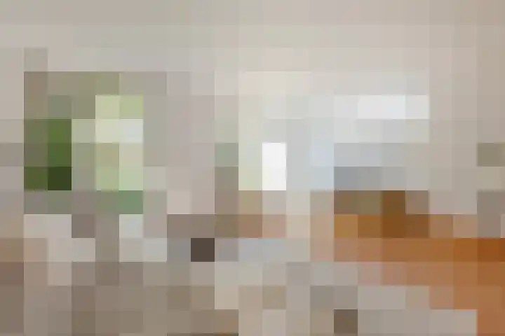 Schaarbeekstraat 15 Amsterdam thumbnail 12