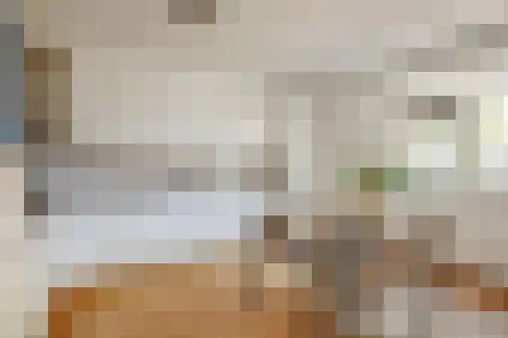 Schaarbeekstraat 15 Amsterdam thumbnail 14